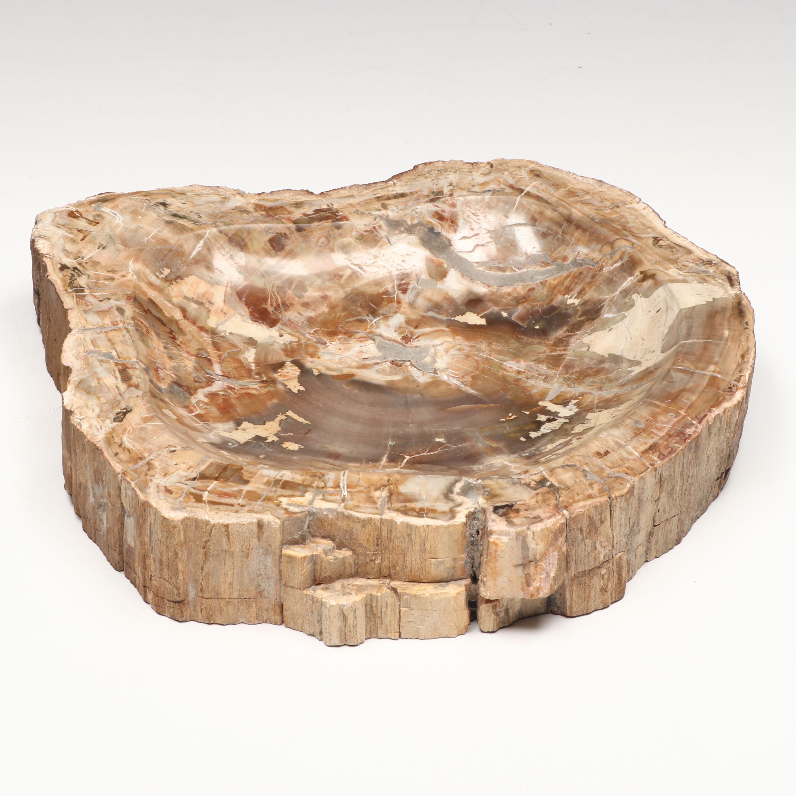 Polished Petrified Wood Bowl