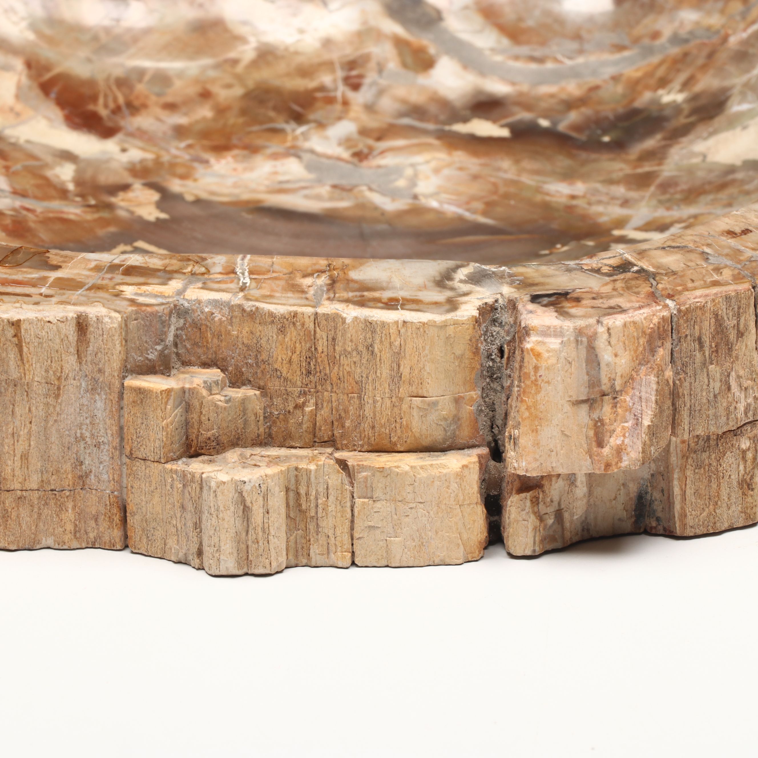 Polished Petrified Wood Bowl