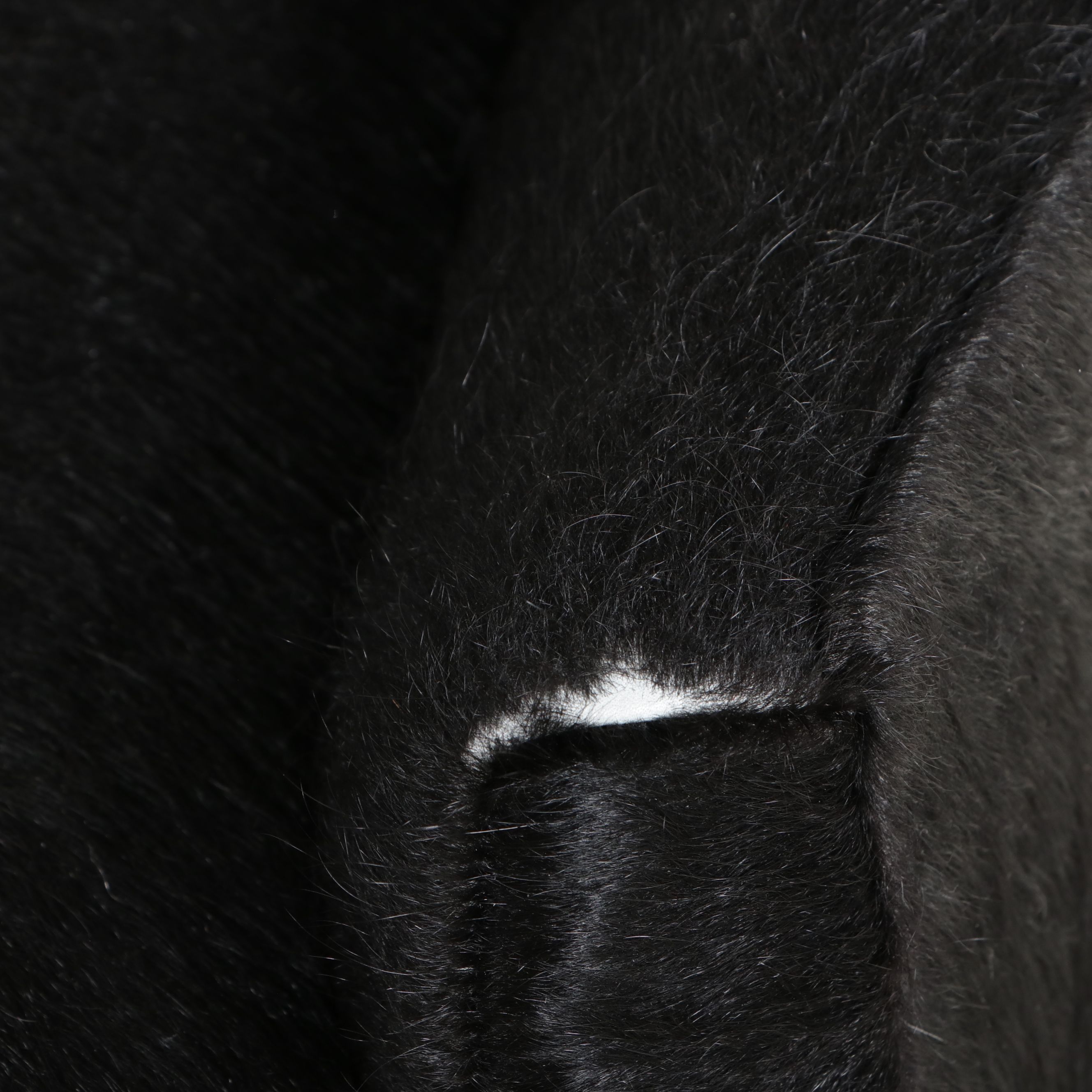 Verellen Belgian Modern Style Black Hair-on-Hide Club Chair, 21st Century