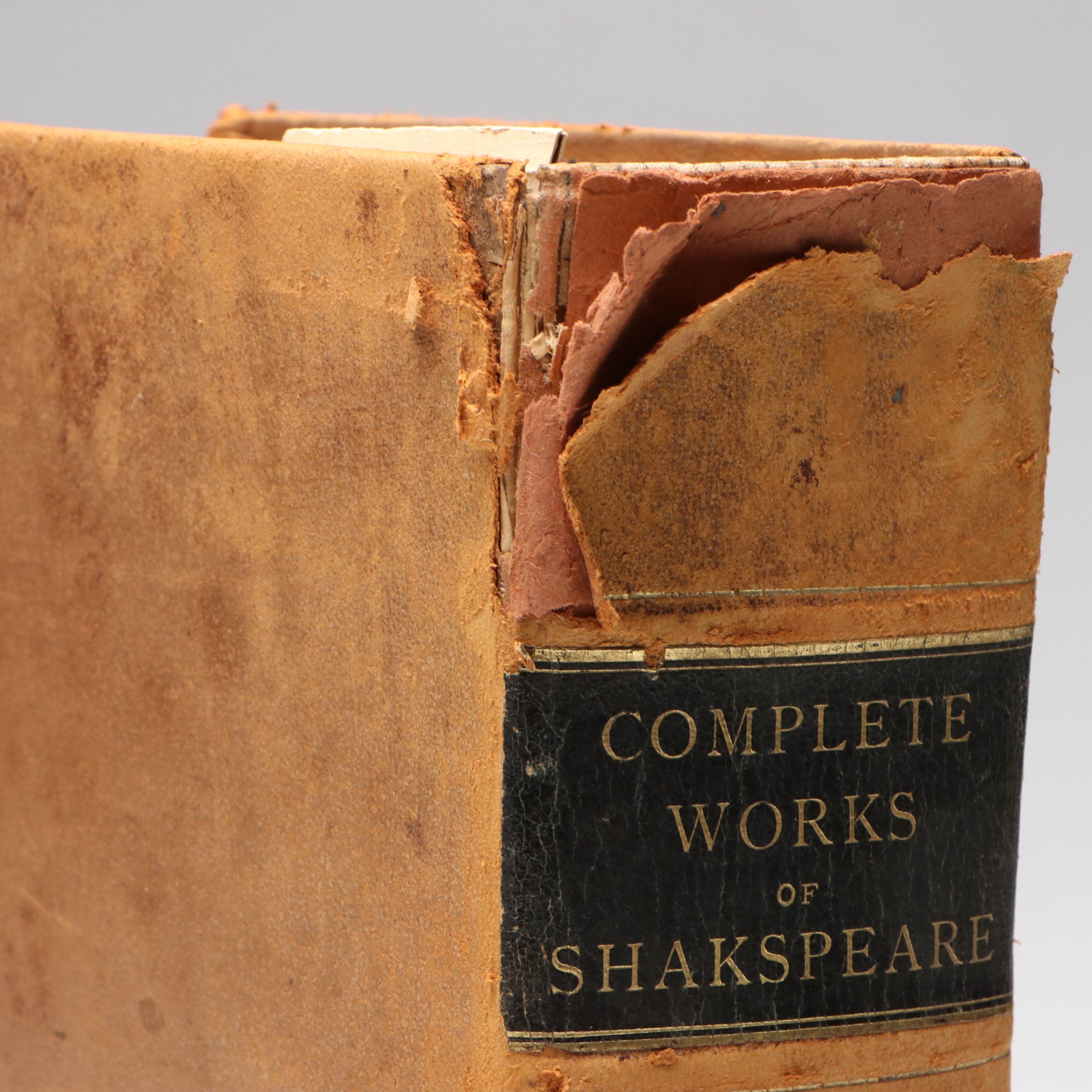 Sumner's Popular Edition "The Complete Works of William Shakspeare," 1882