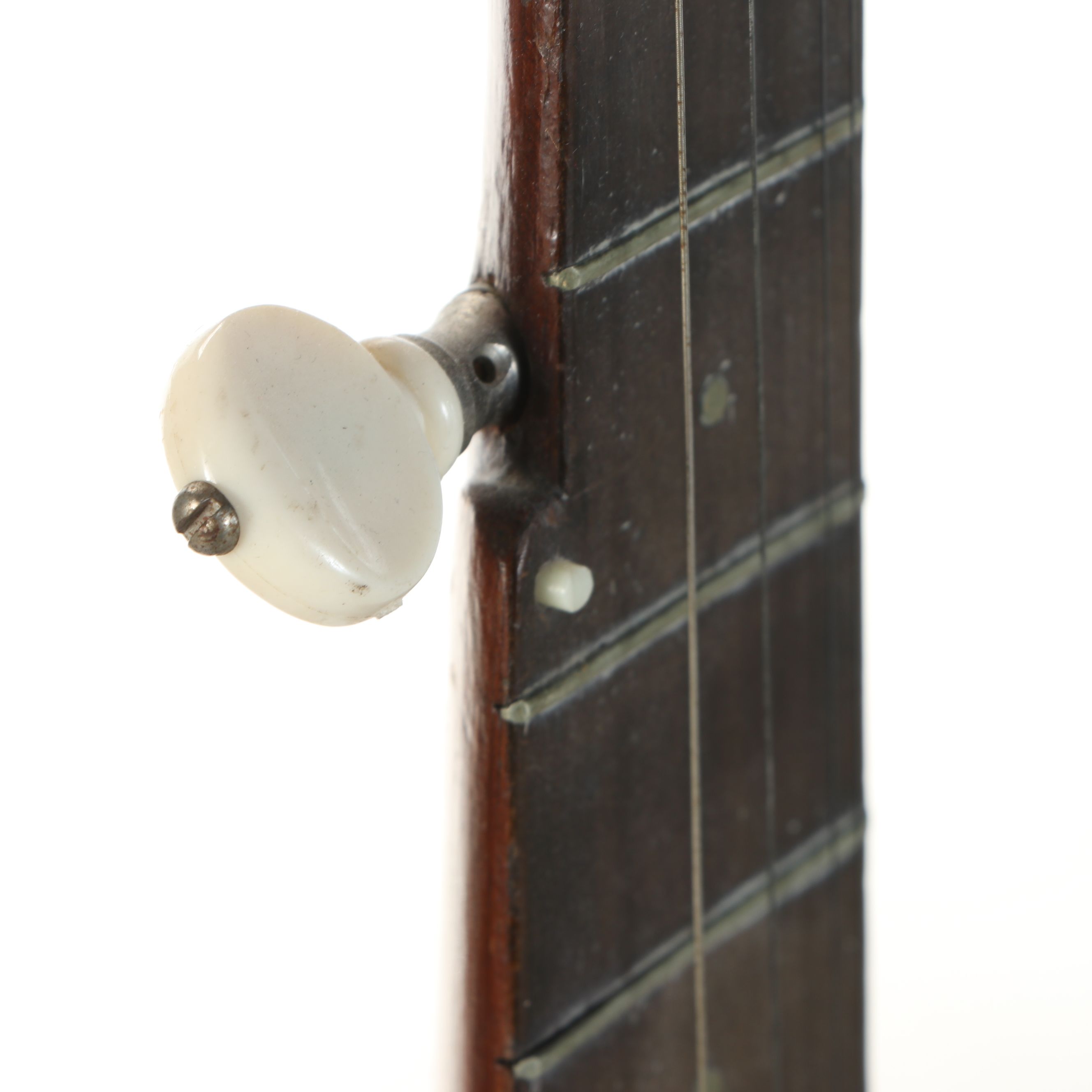 Five-String Banjo