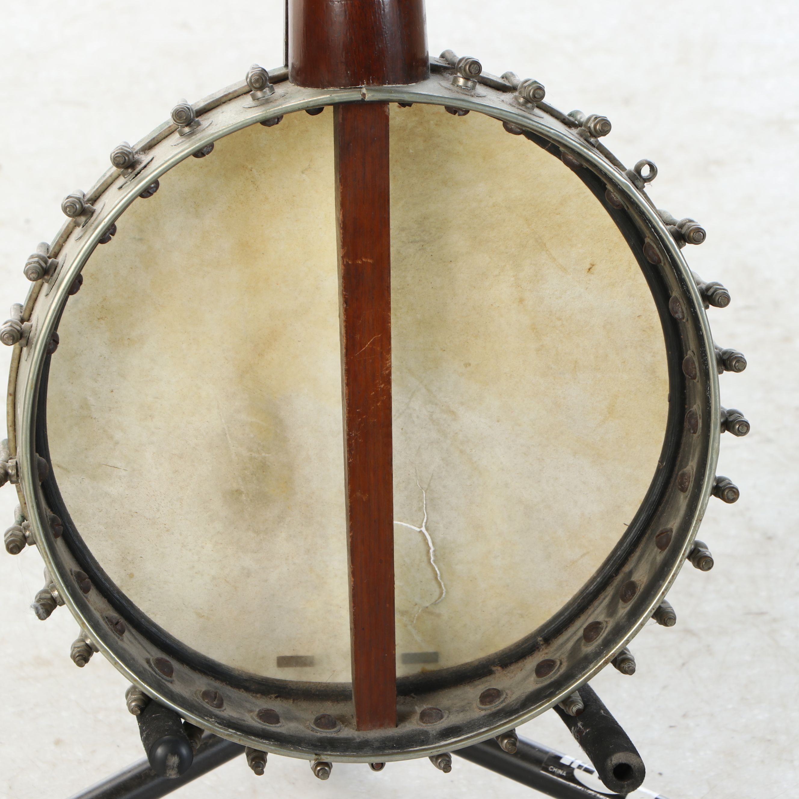Five-String Banjo