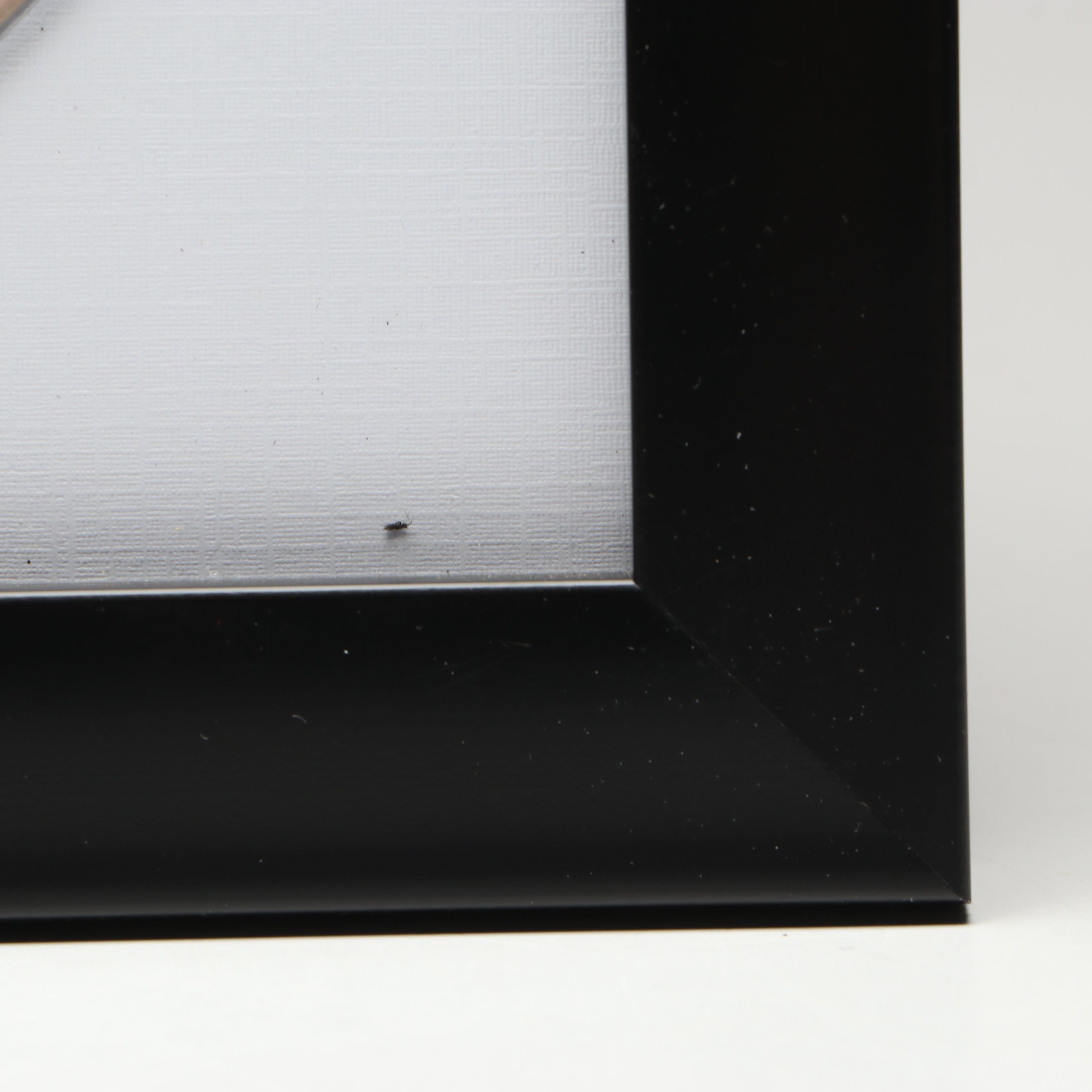 Taylor Swift Signed "The Tortured Poets Department" CD Card in Frame