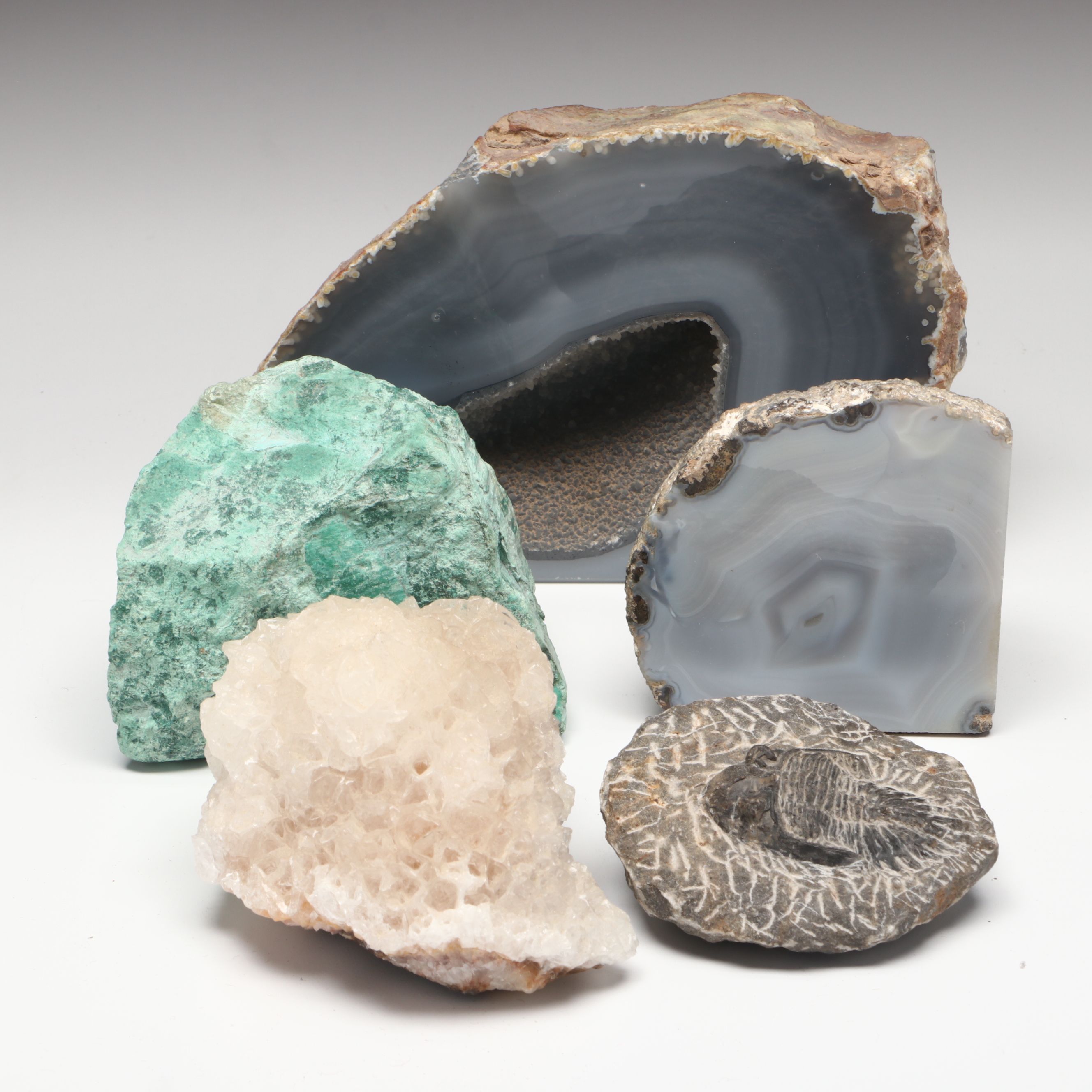 Gray Agate Geodes with Trilobite and More Mineral Specimens