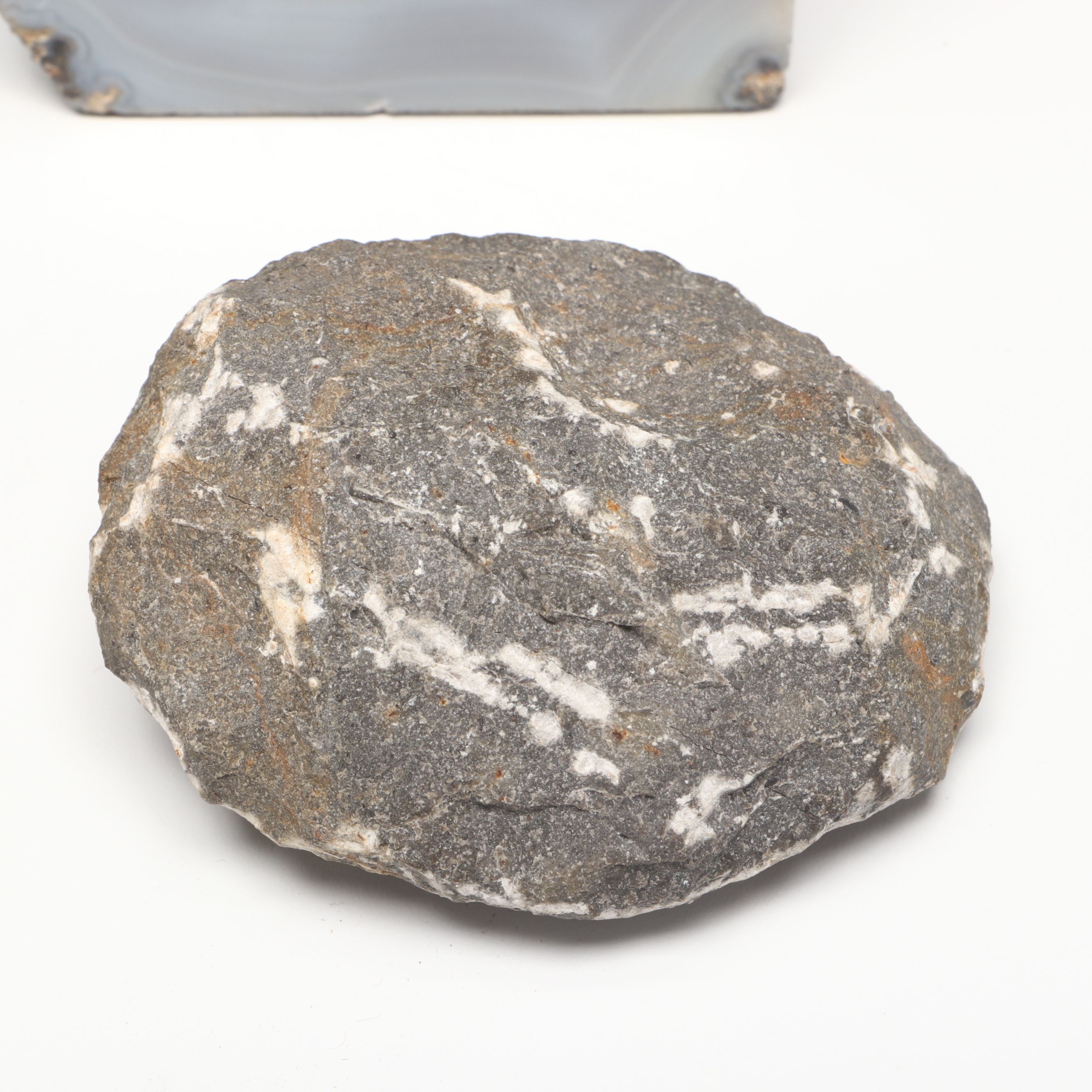 Gray Agate Geodes with Trilobite and More Mineral Specimens