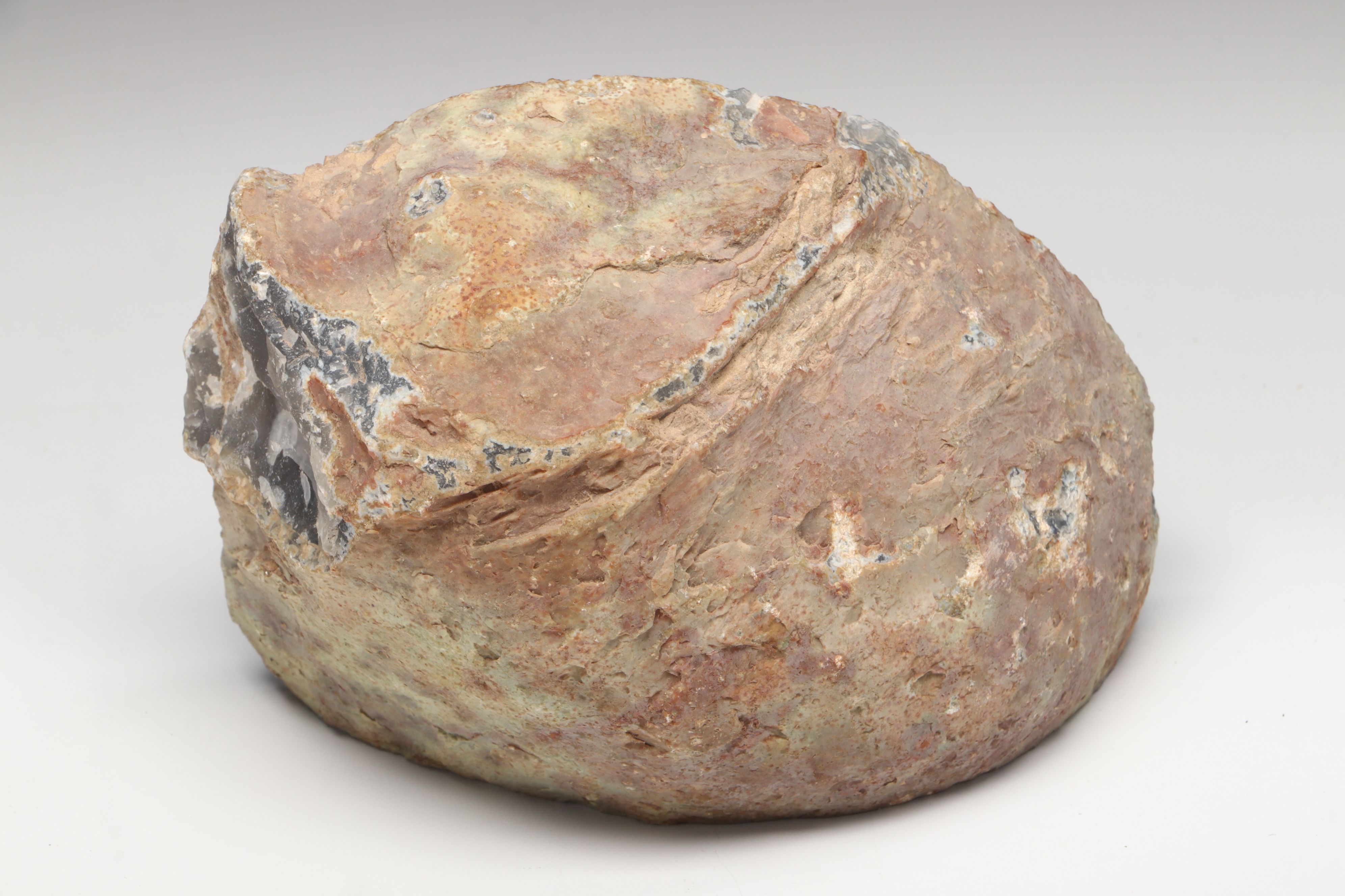 Gray Agate Geodes with Trilobite and More Mineral Specimens