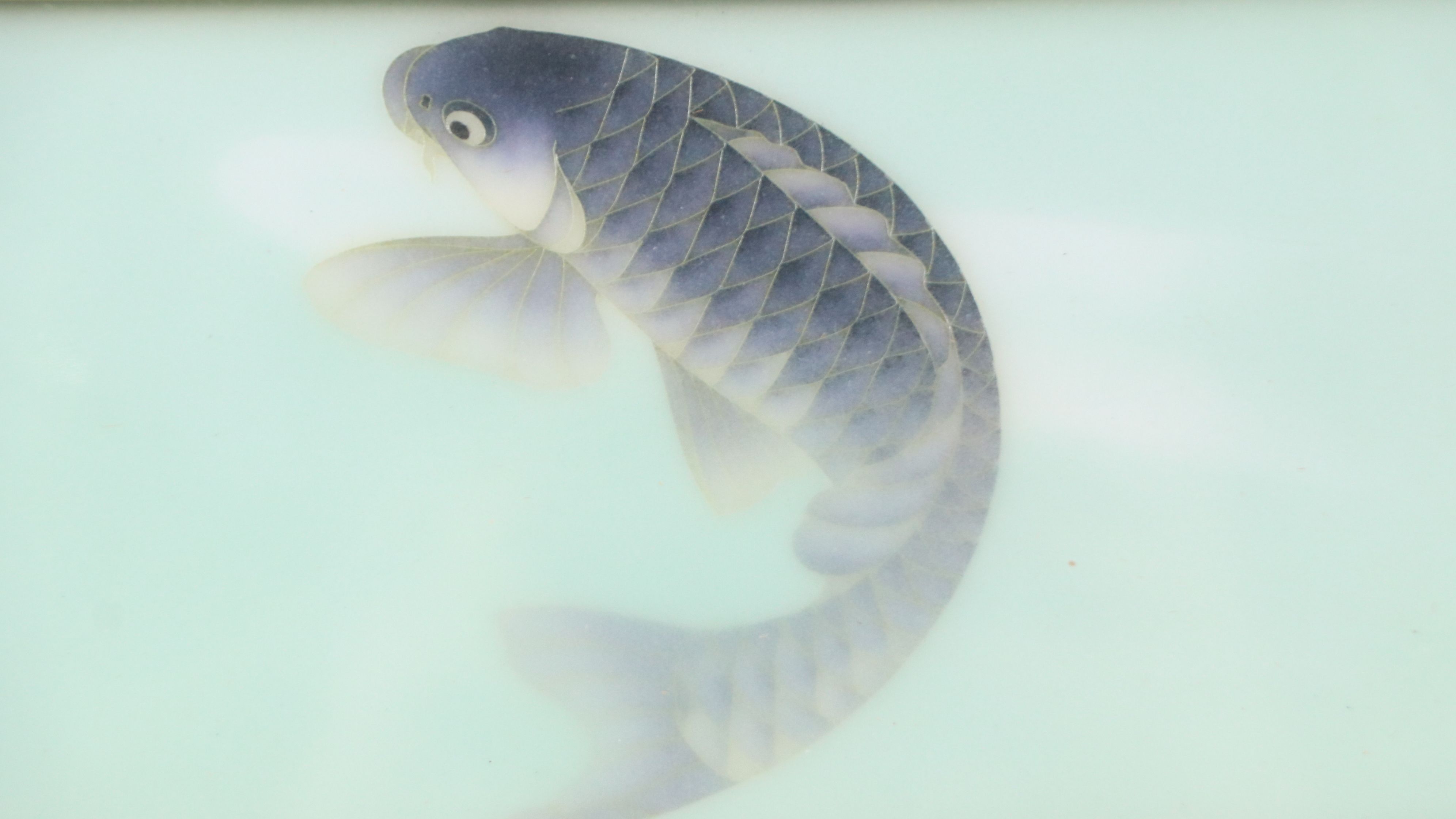Japanese Cloisonné Enameled Plaque with Swimming Carp, Late 20th Century