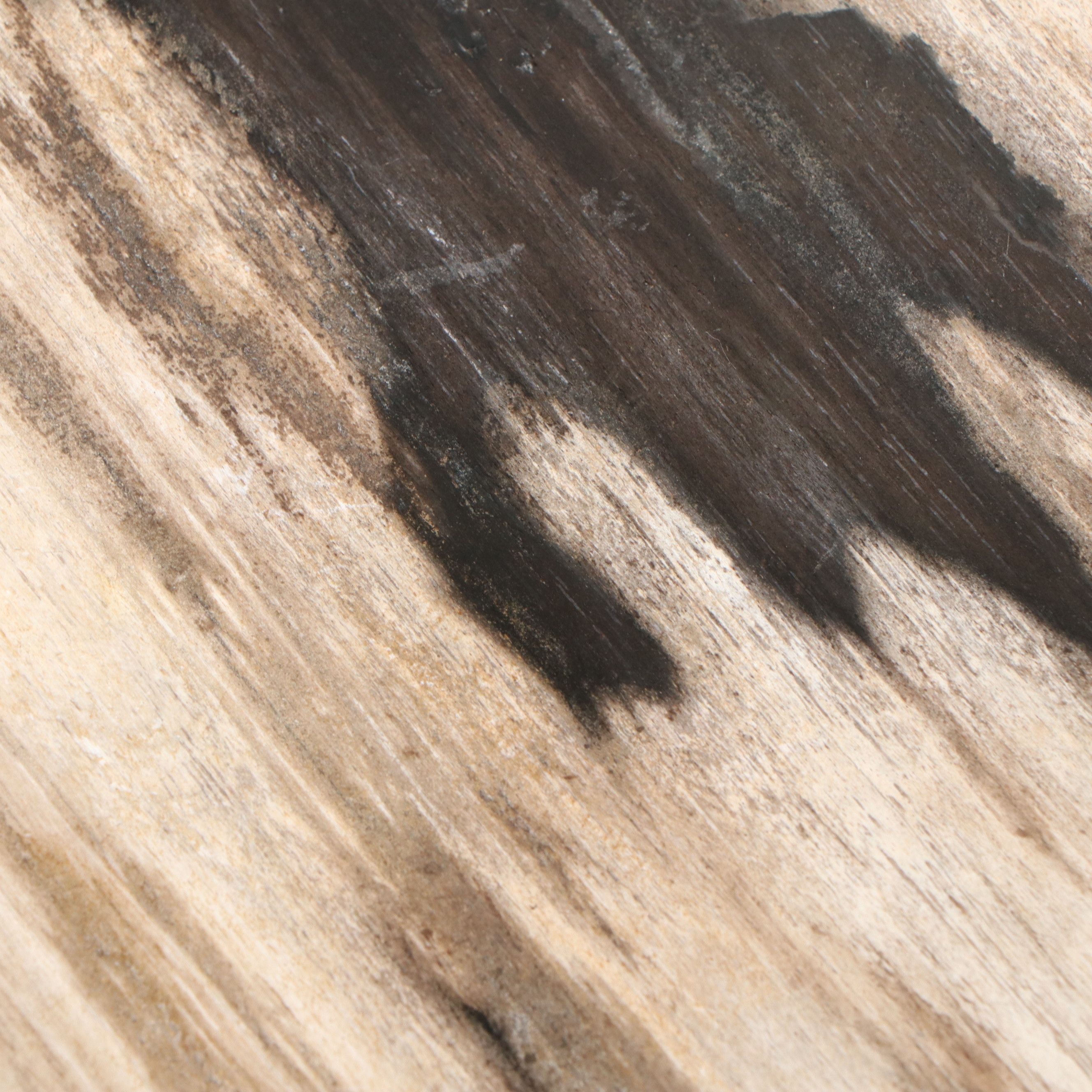 Pair Petrified Wood Side Tables with Wrought Iron Legs