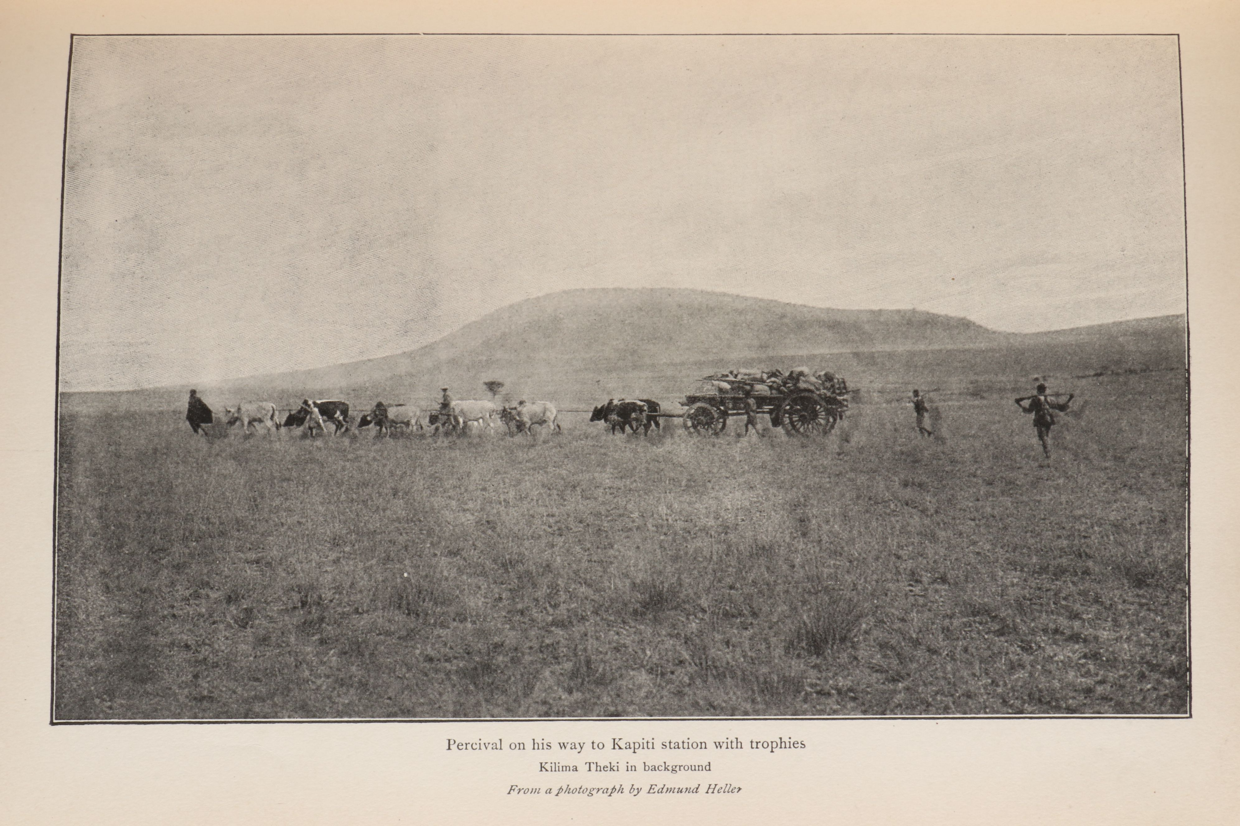 First Trade Edition "African Game Trails" by Theodore Roosevelt, 1910