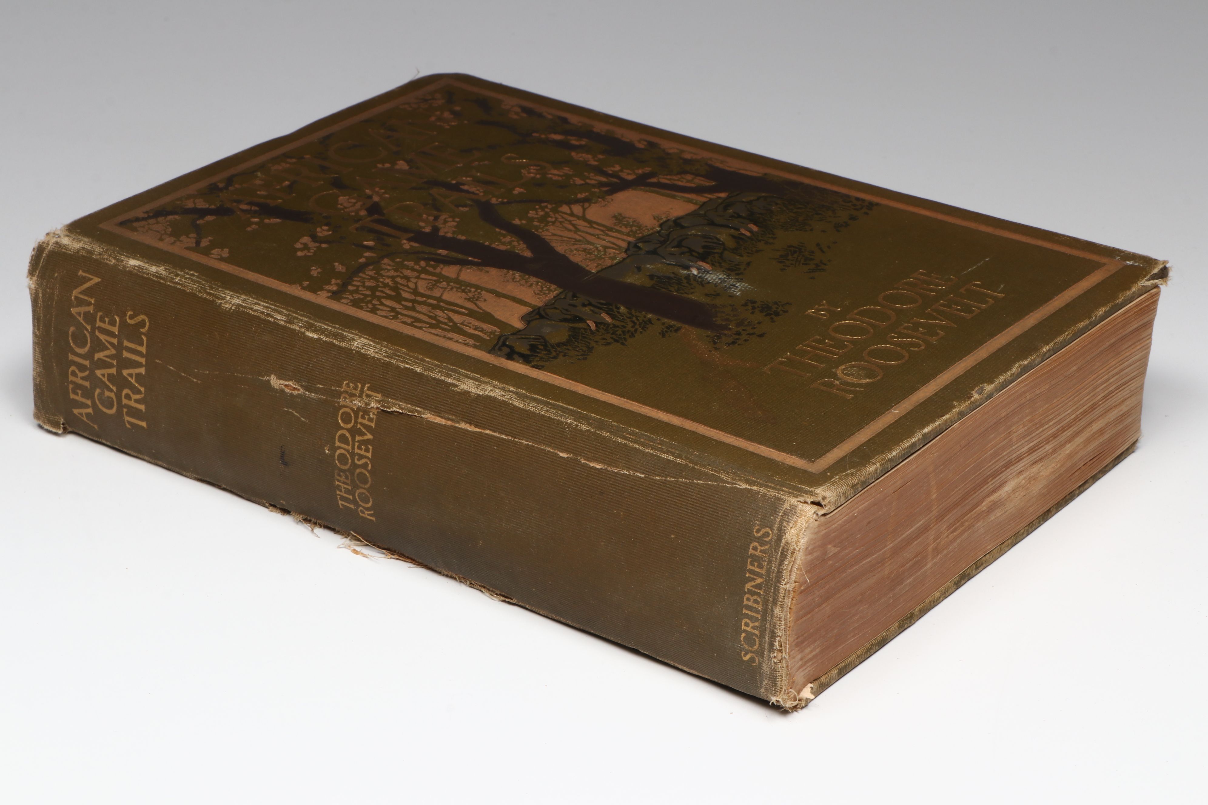 First Trade Edition "African Game Trails" by Theodore Roosevelt, 1910