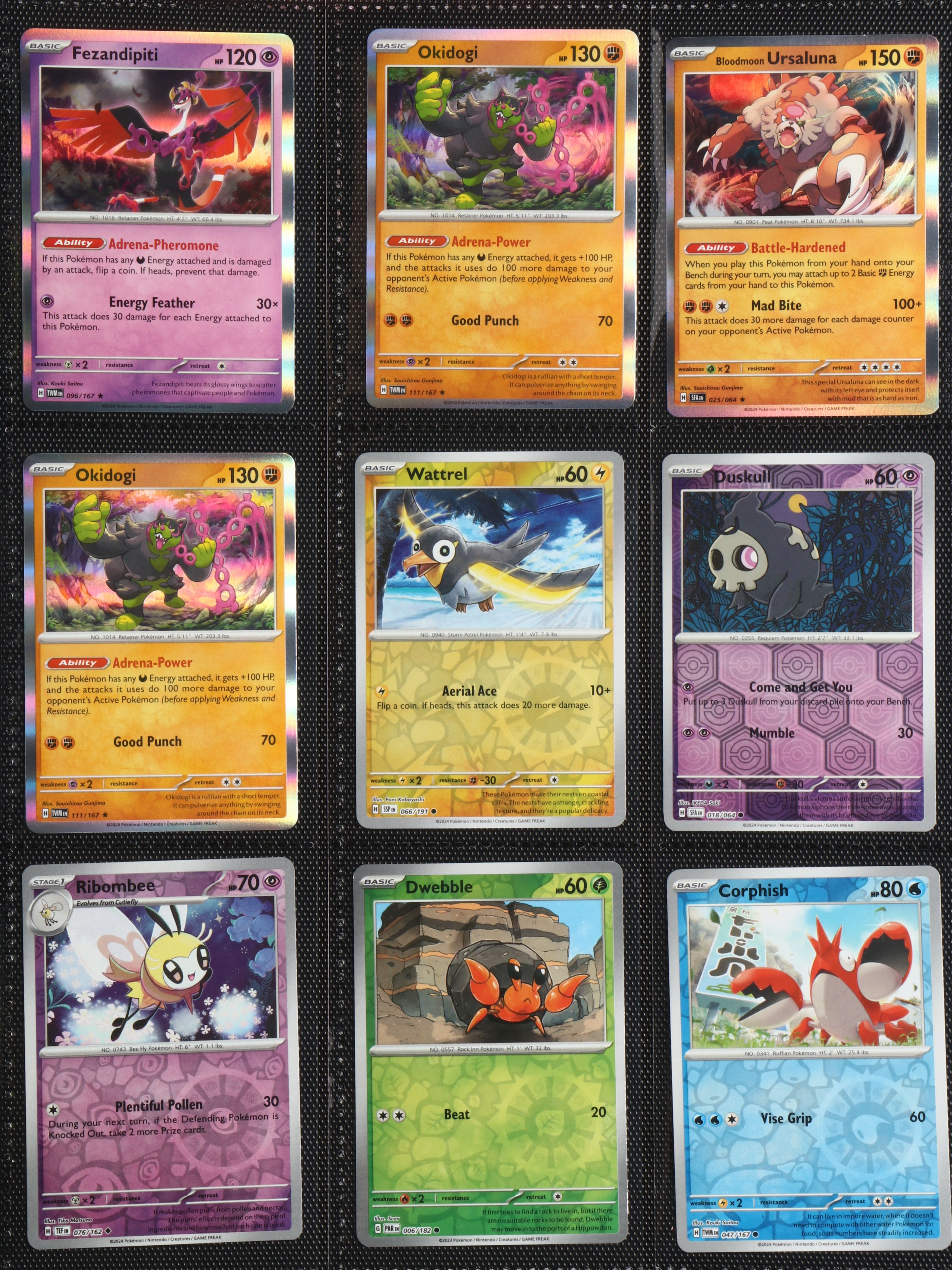 Pokémon Card Collection Featuring Holo Kyogre, Fezandipiti and More, 2010s-2020s