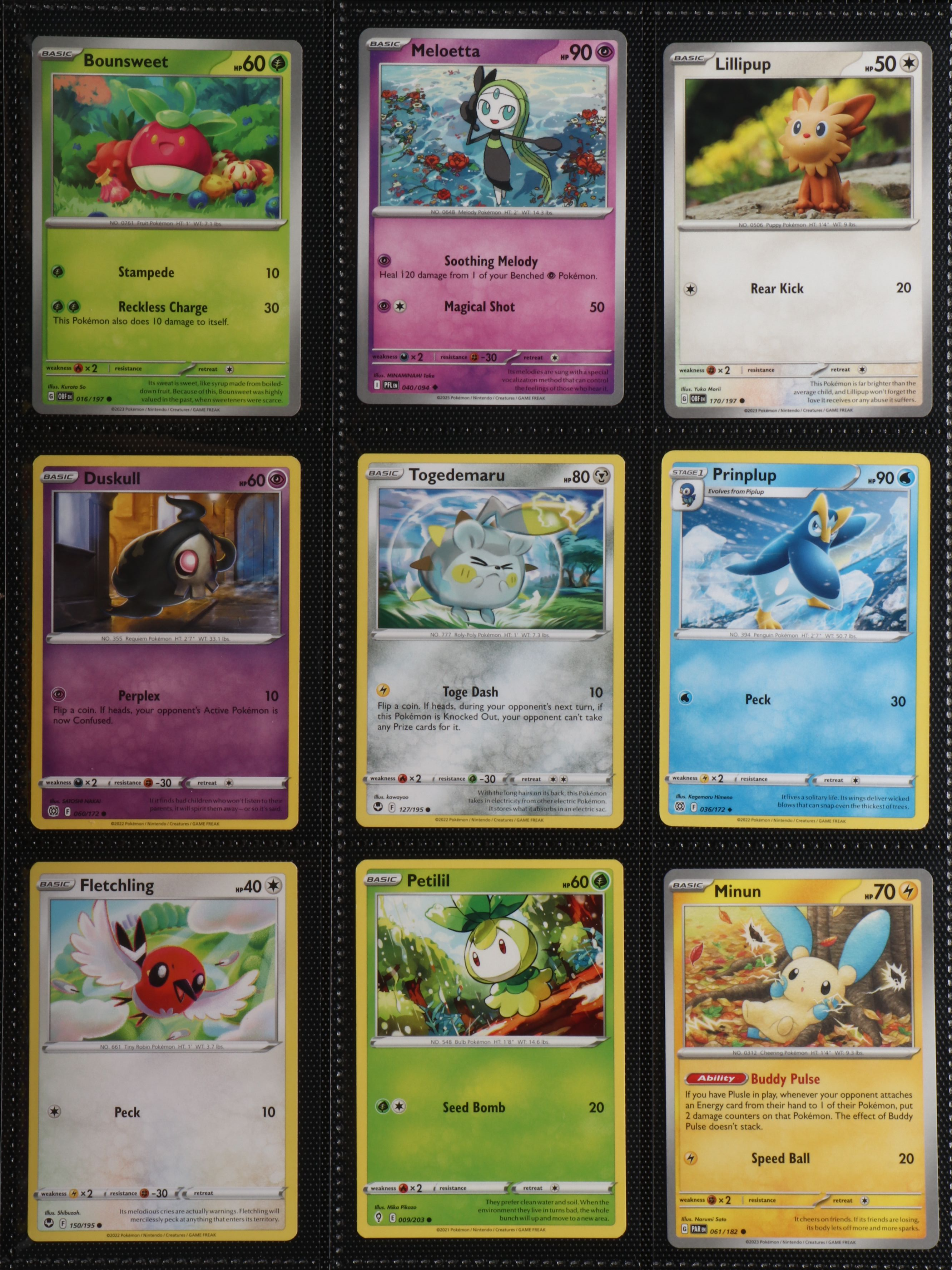 Pokémon Card Collection Featuring Holo Kyogre, Fezandipiti and More, 2010s-2020s