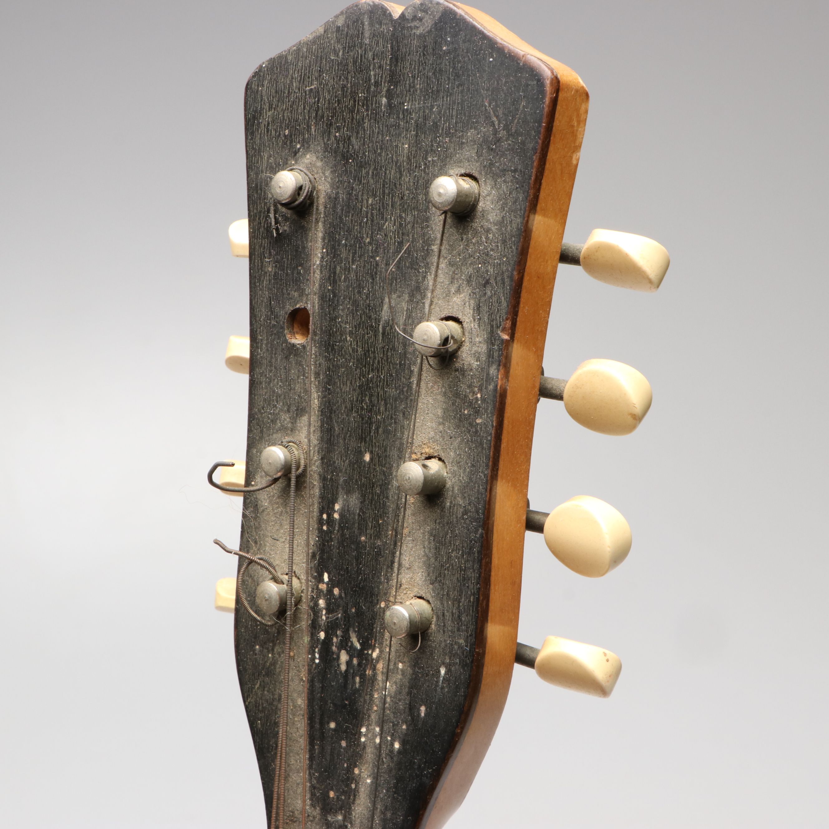 The Vega Company "Little Wonder" Mandolin Banjo with Crayon Illustration