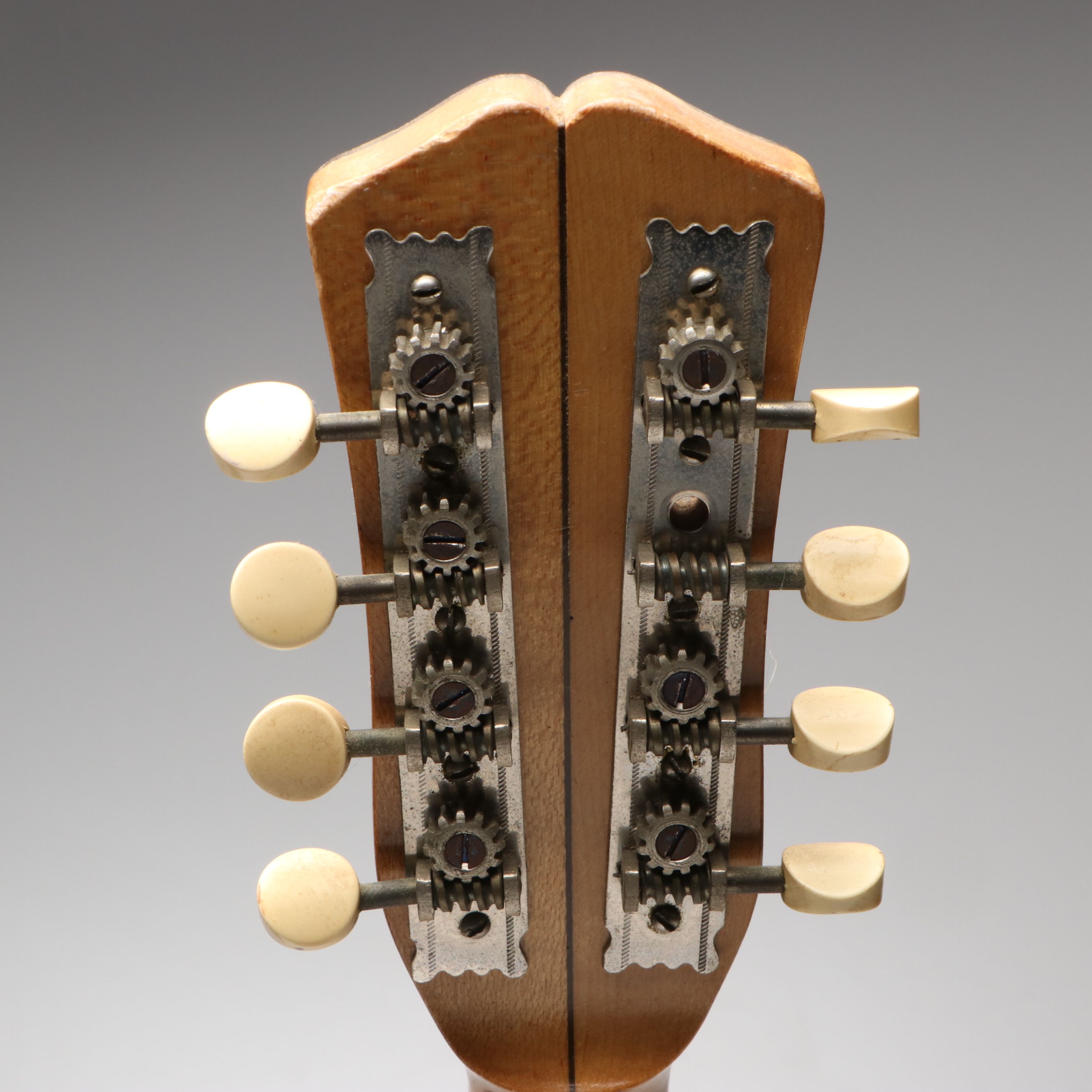 The Vega Company "Little Wonder" Mandolin Banjo with Crayon Illustration