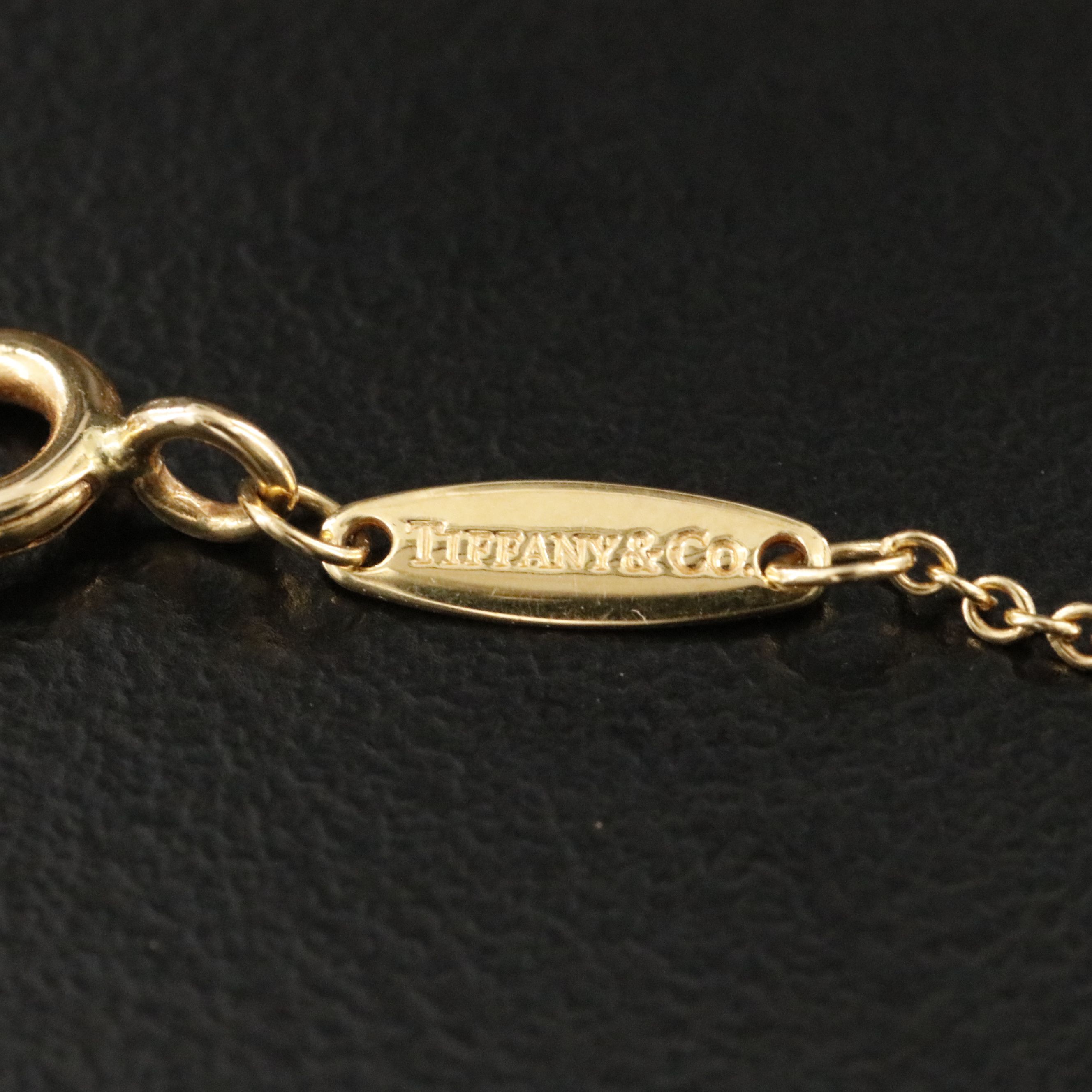 Elsa Peretti for Tiffany & Co. 18K Diamond Bezel Station Necklace