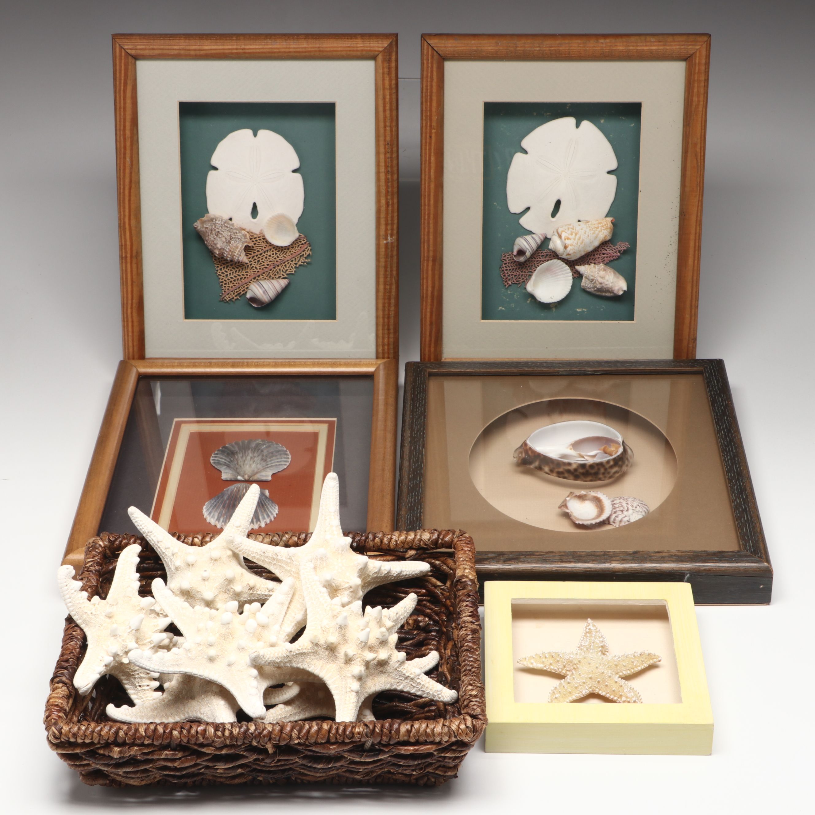 Knobby Starfish in Wicker Basket with Seashells in Frames and Other Wall Décor