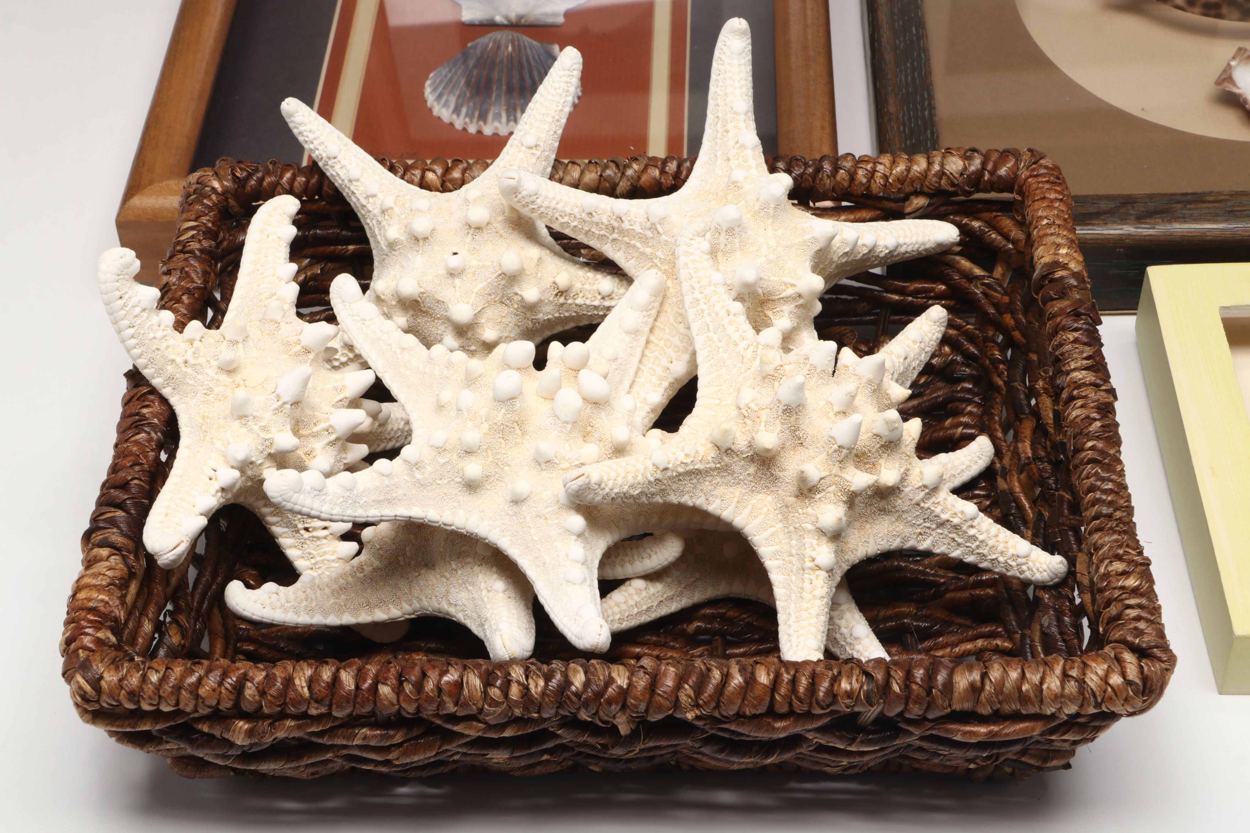 Knobby Starfish in Wicker Basket with Seashells in Frames and Other Wall Décor