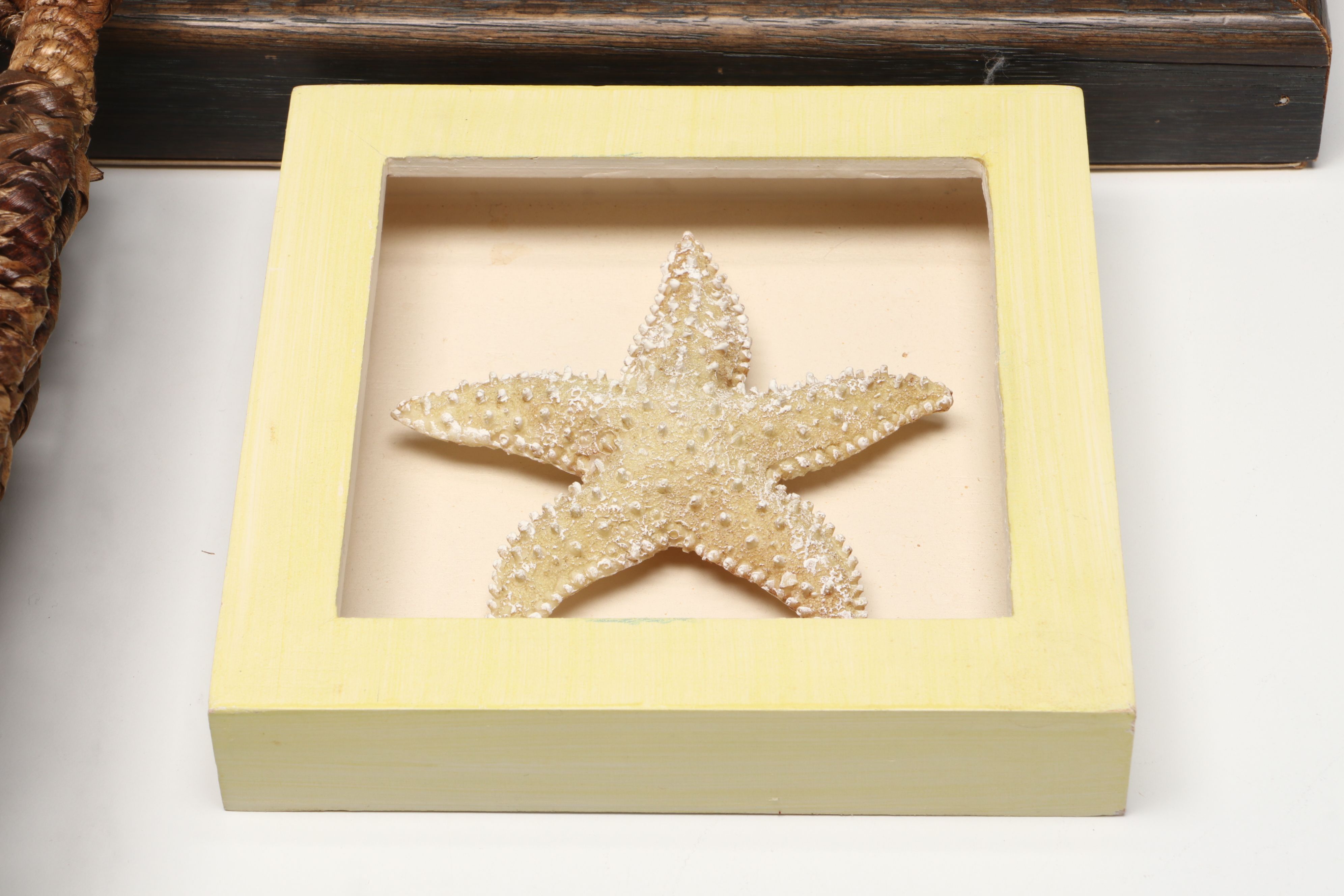 Knobby Starfish in Wicker Basket with Seashells in Frames and Other Wall Décor