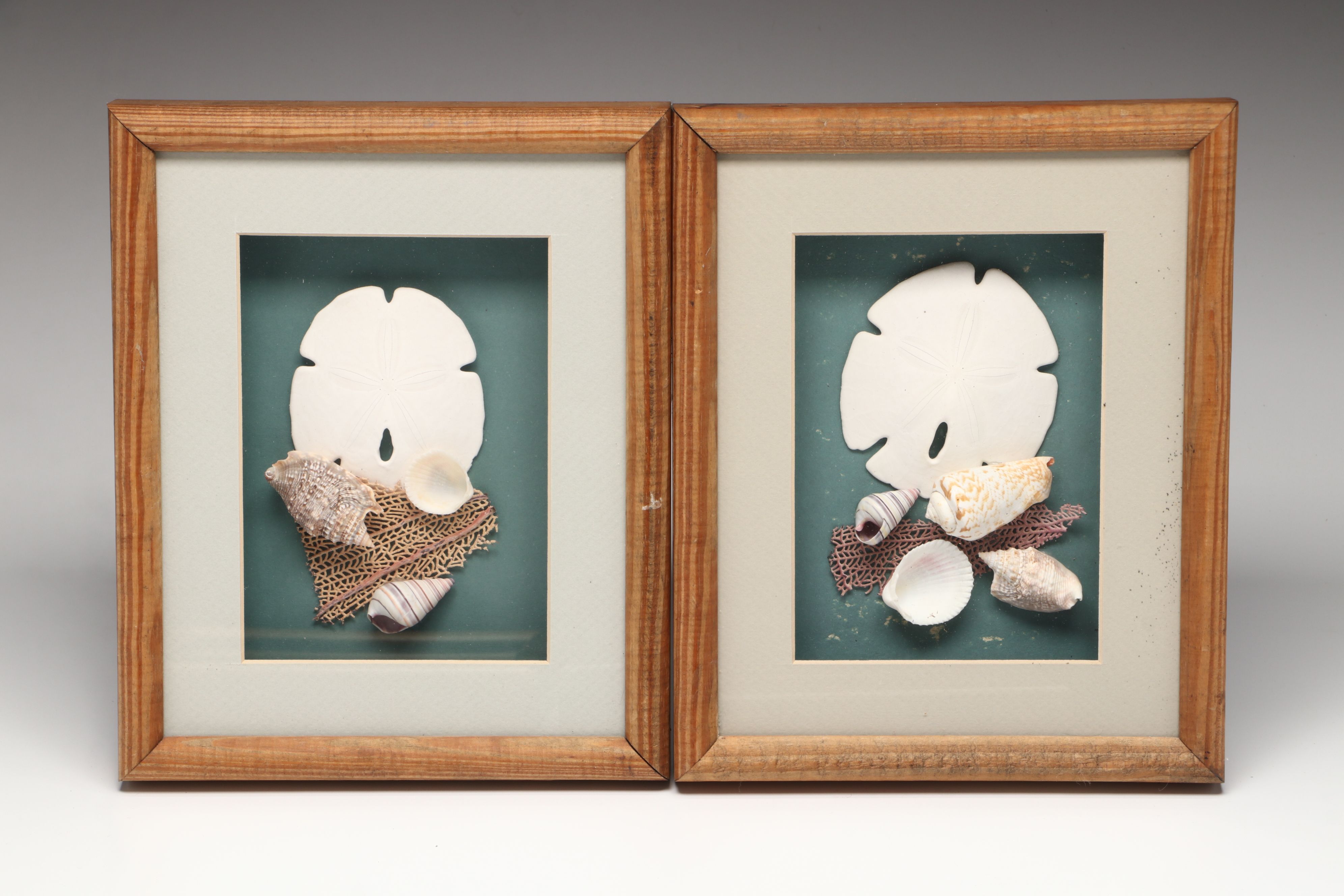 Knobby Starfish in Wicker Basket with Seashells in Frames and Other Wall Décor