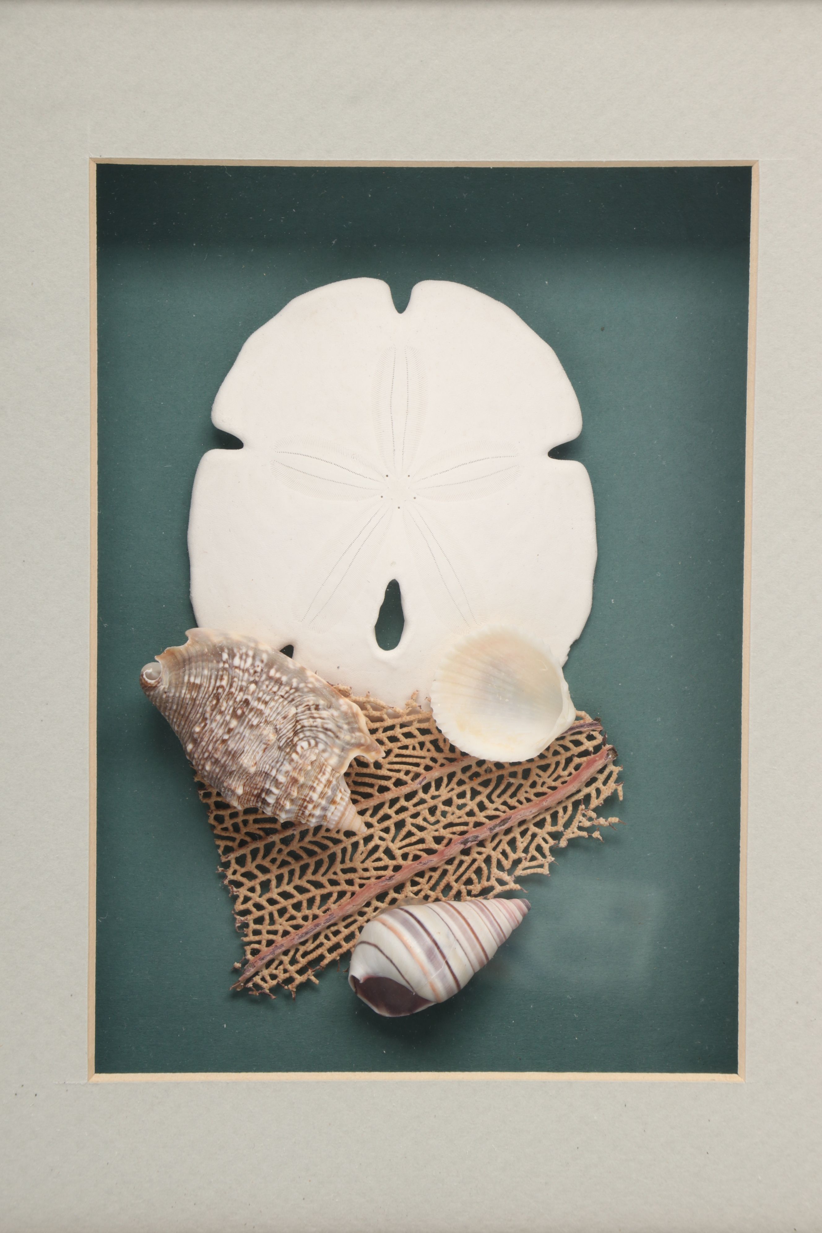 Knobby Starfish in Wicker Basket with Seashells in Frames and Other Wall Décor