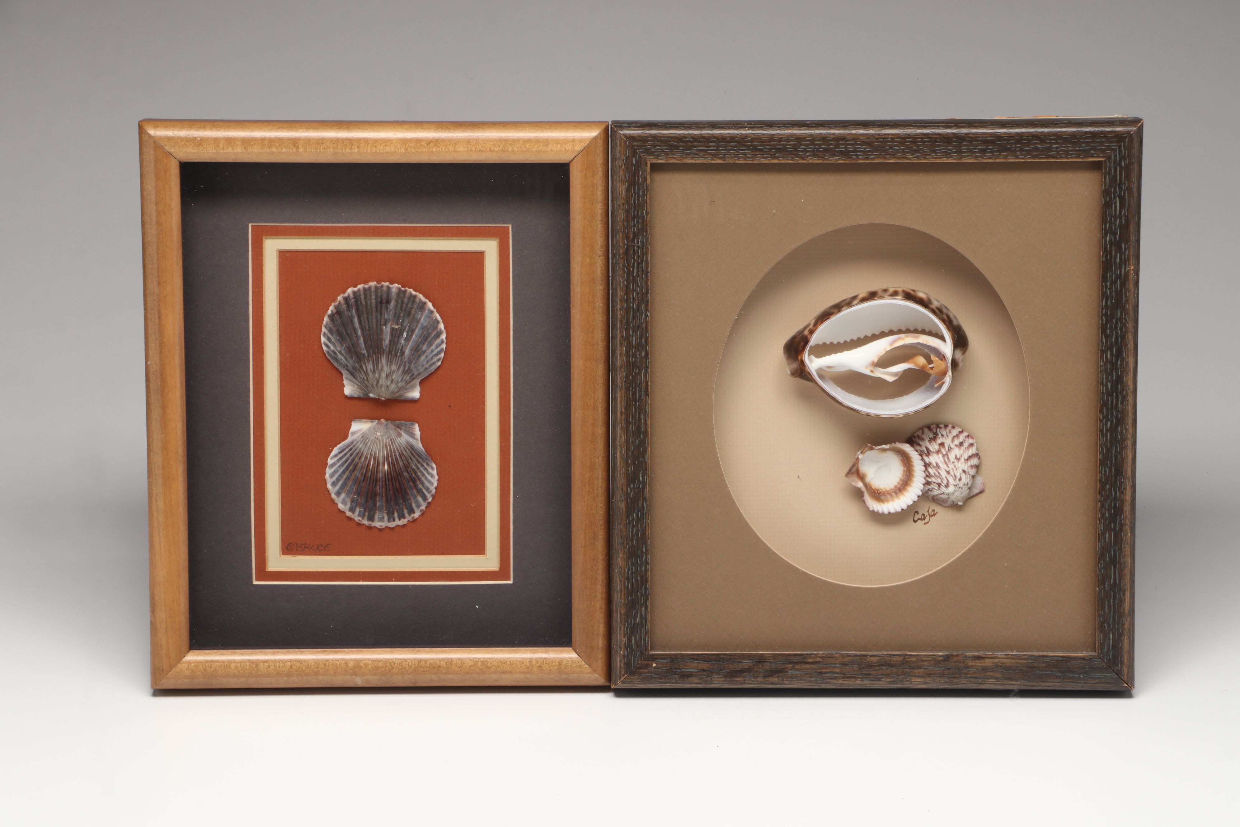 Knobby Starfish in Wicker Basket with Seashells in Frames and Other Wall Décor