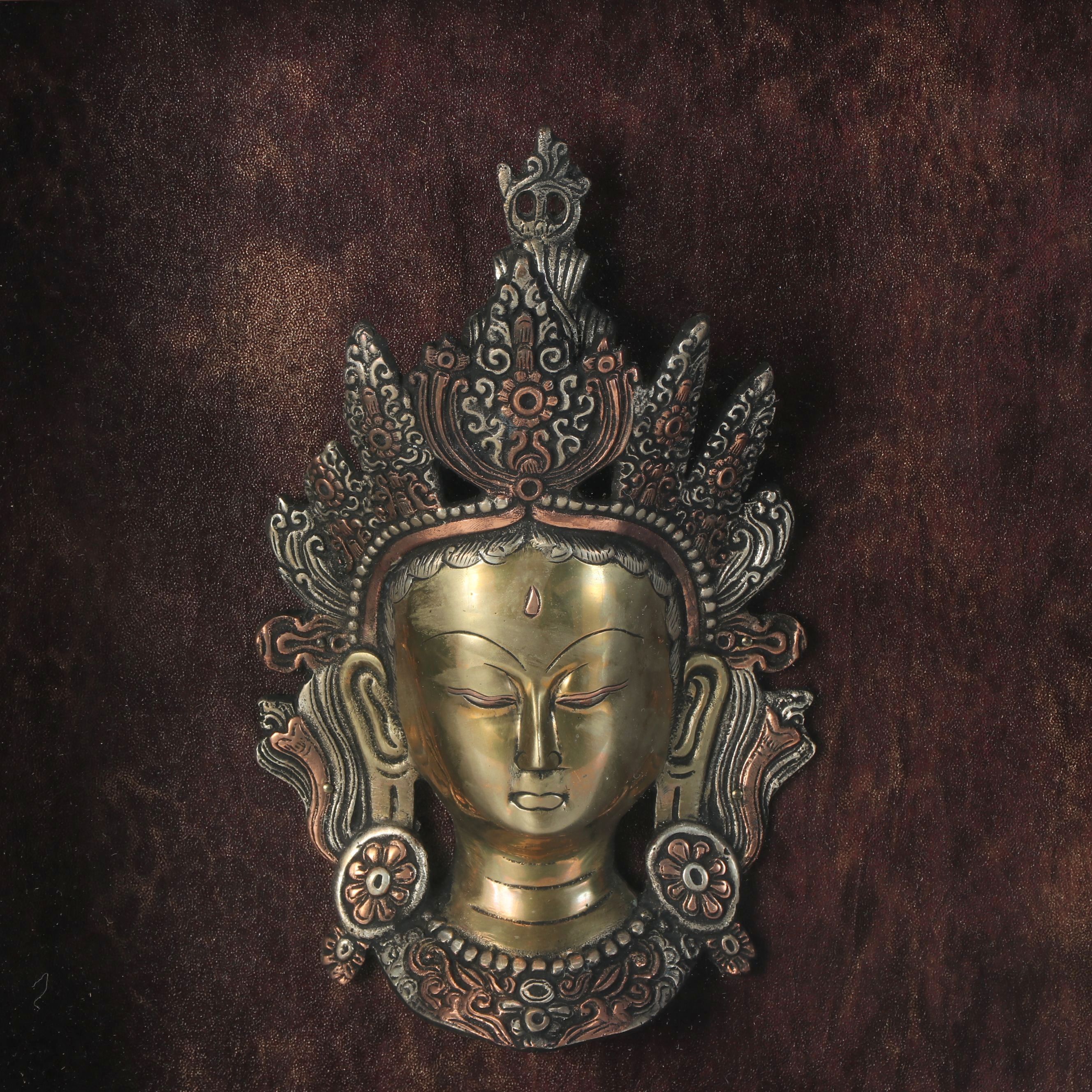 Tibetan Buddhist Deity Tara Brass Portrait in Shadow Box Frame