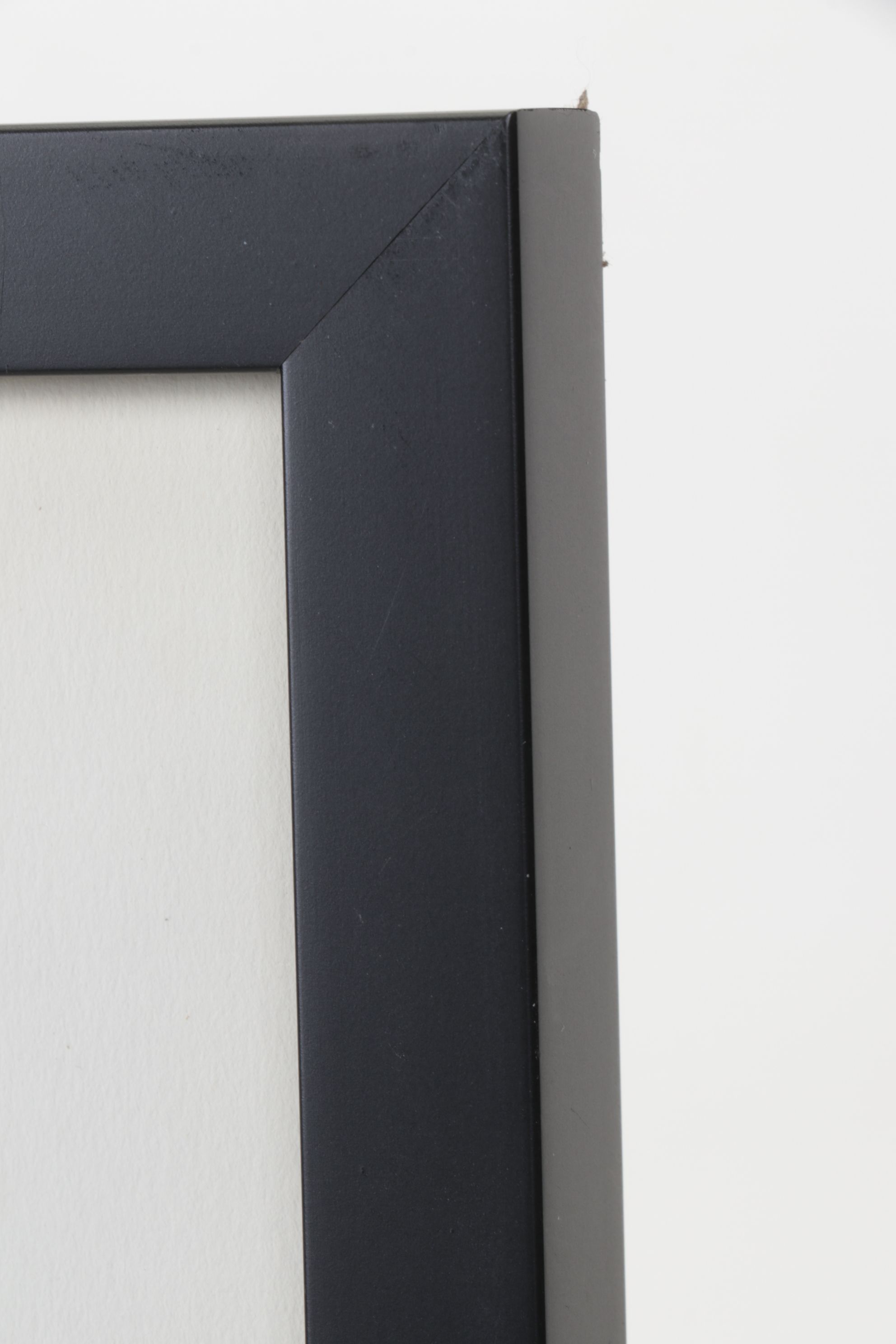 Edward Weston Silver Gelatin Photograph "Two Shells", 1927