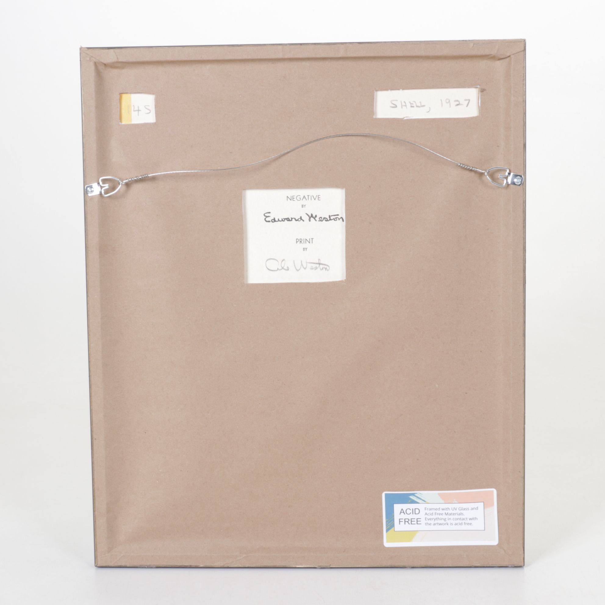 Edward Weston Silver Gelatin Photograph "Two Shells", 1927