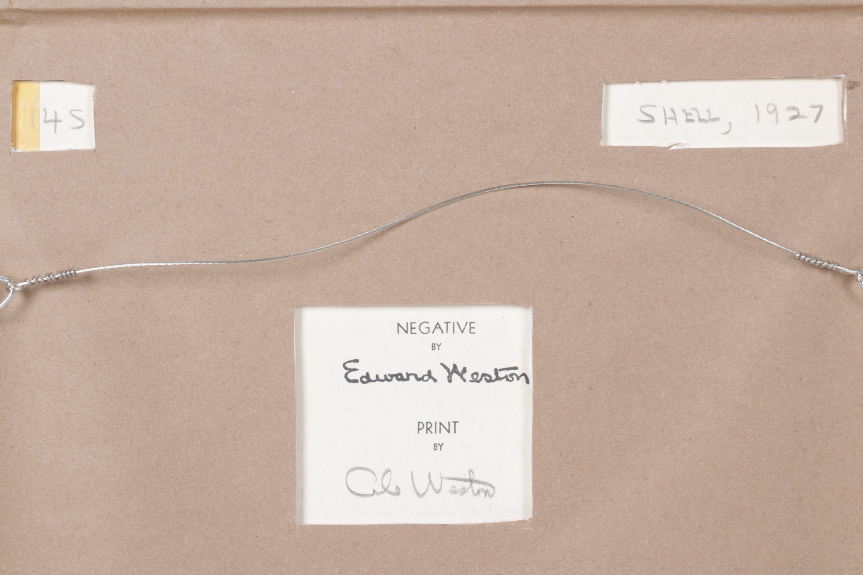 Edward Weston Silver Gelatin Photograph "Two Shells", 1927