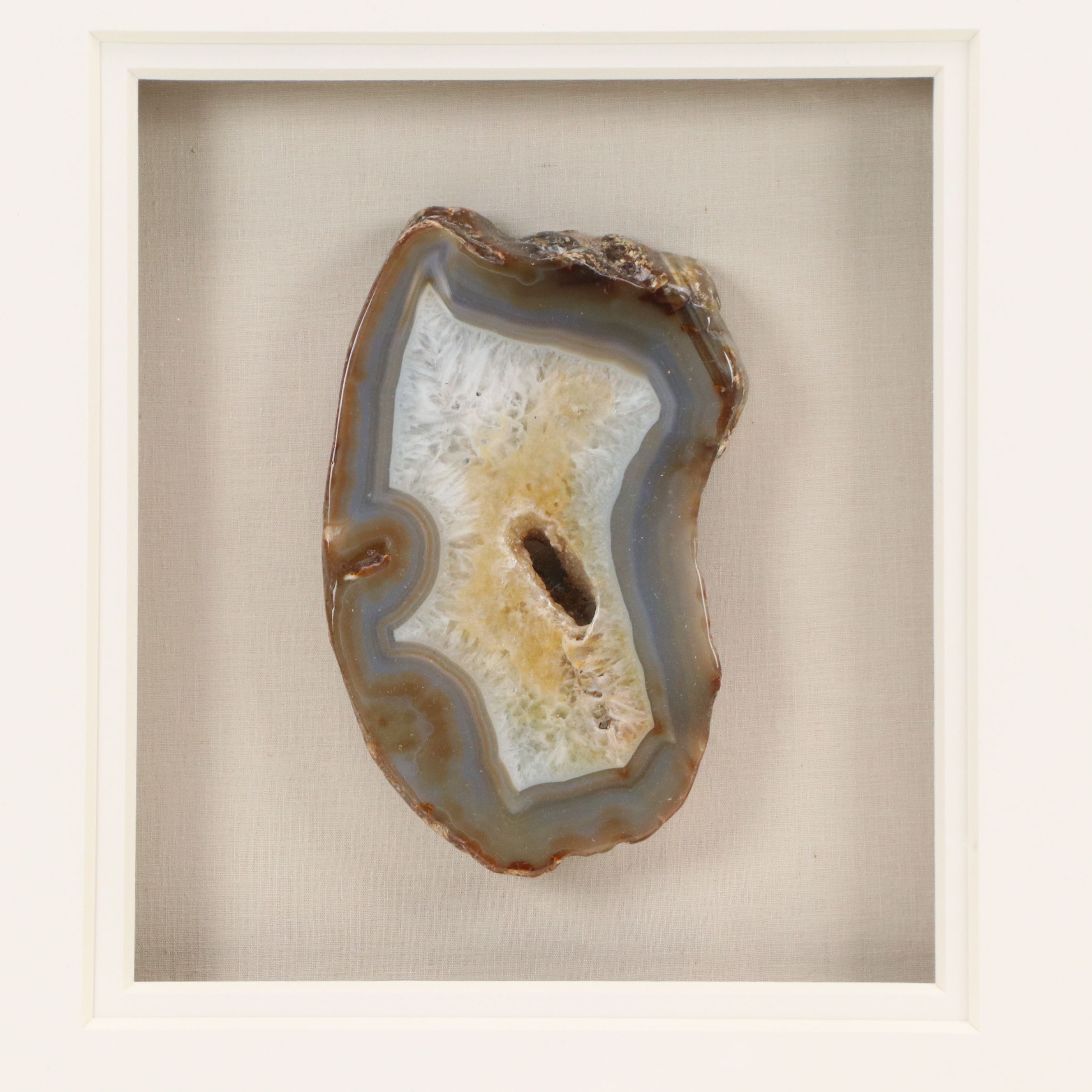 Sliced Agate Specimen, 20th Century