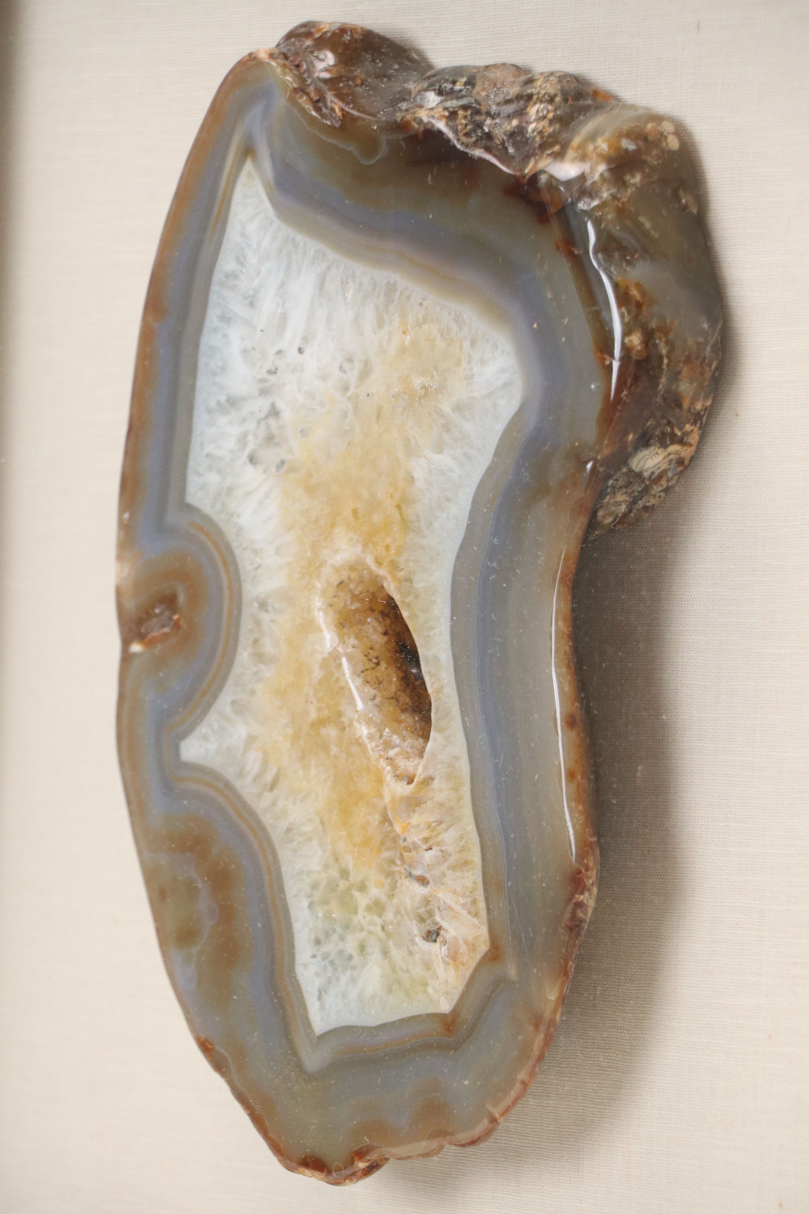 Sliced Agate Specimen, 20th Century