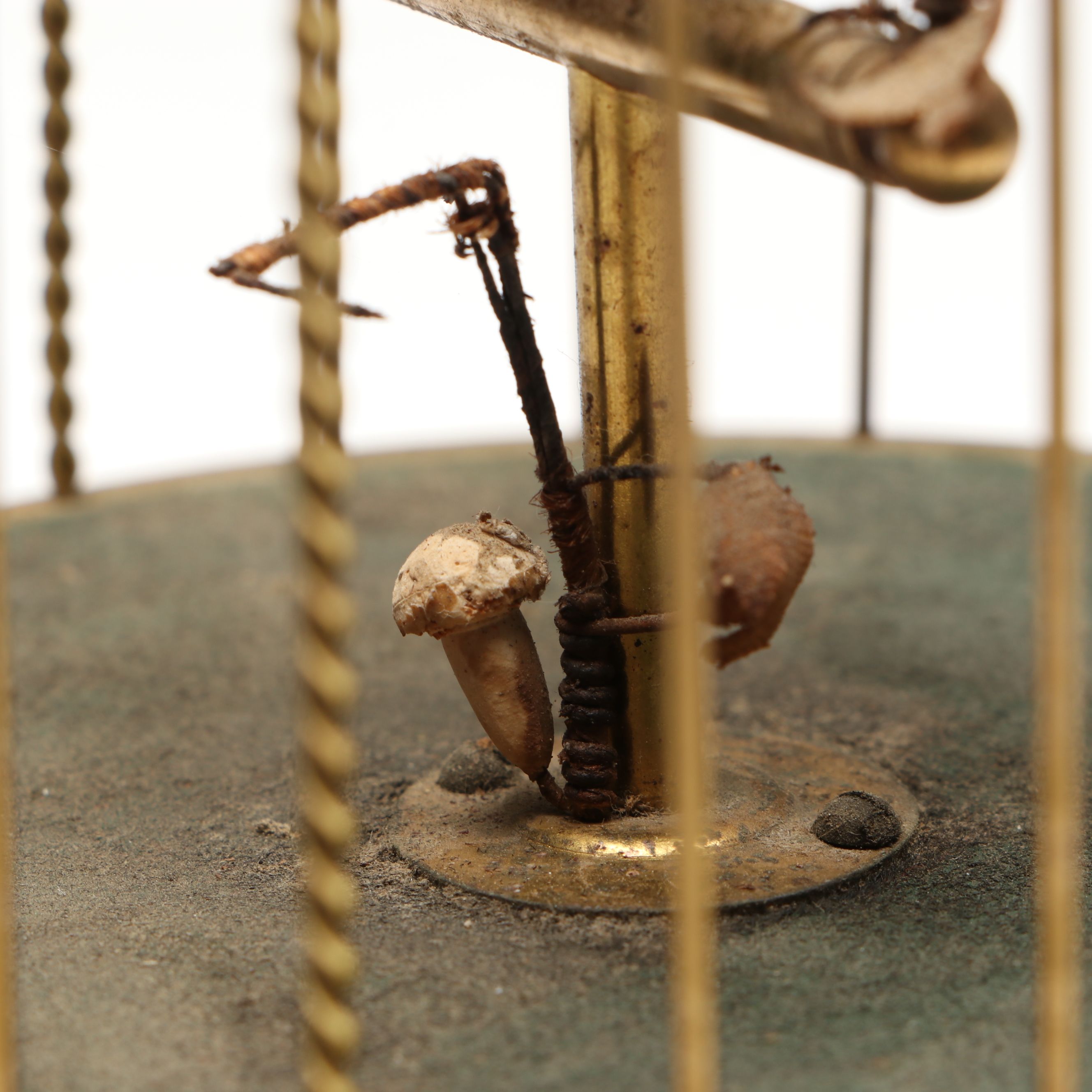 Karl Griesbaum Singing Bird Automaton, Early 20th Century