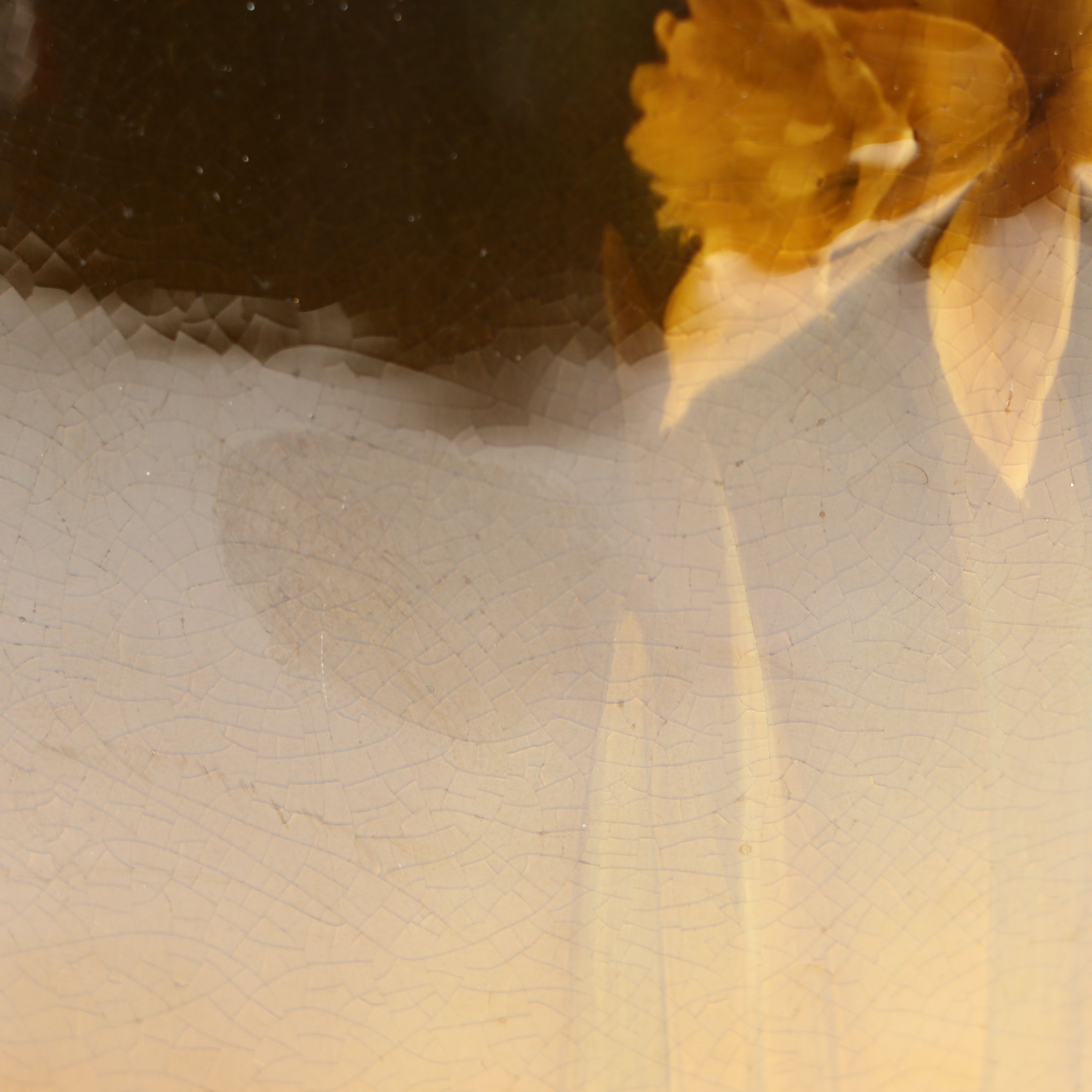 Mary Madeline Nourse for Rookwood Pottery Vase, 1897