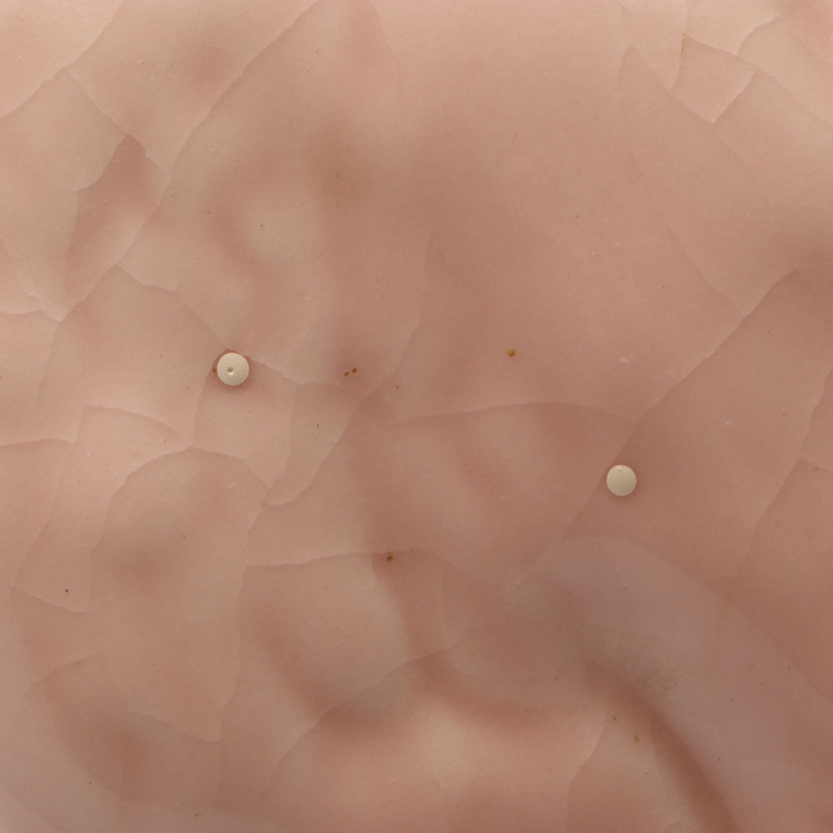 Rookwood Pottery "Rook" Dish, 1955