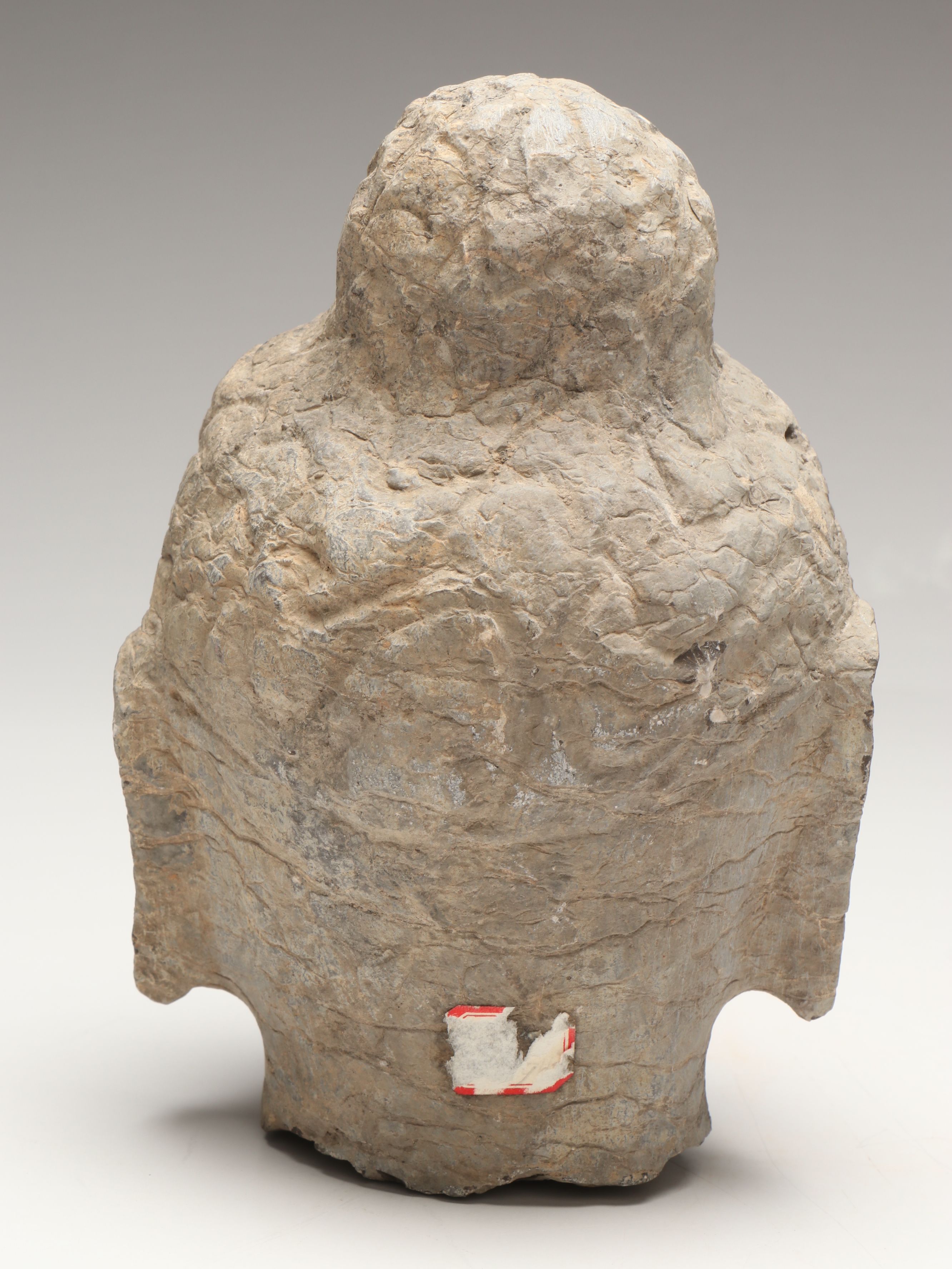 Asian Carved Stone Bodhisattva Head