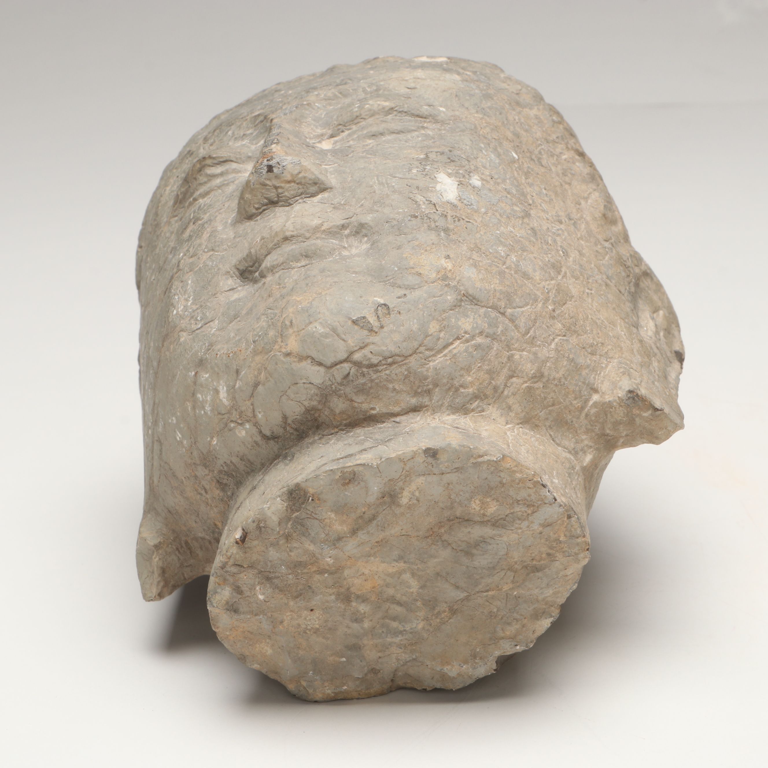 Asian Carved Stone Bodhisattva Head