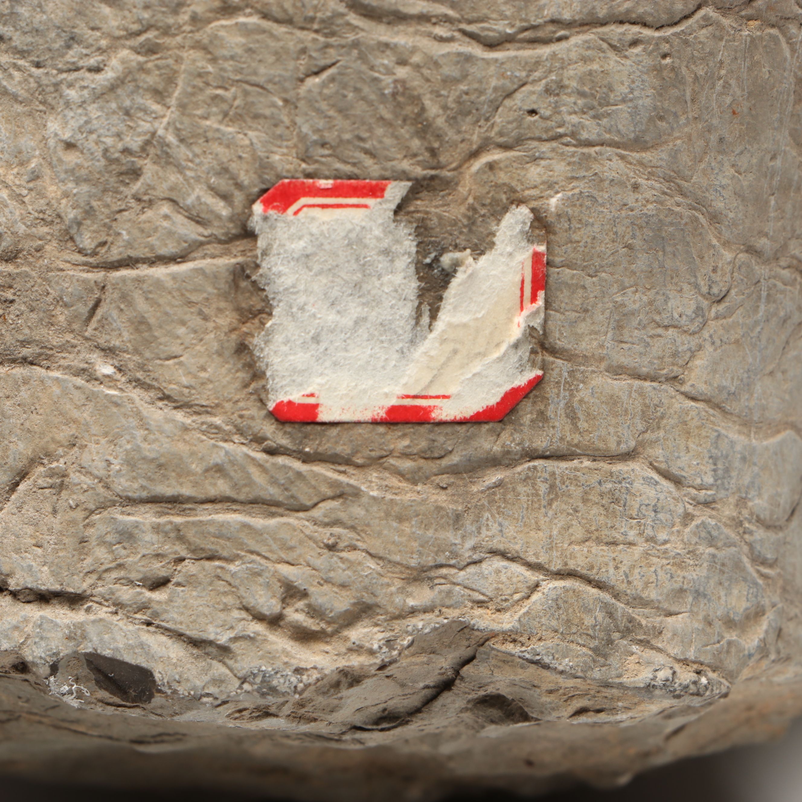 Asian Carved Stone Bodhisattva Head