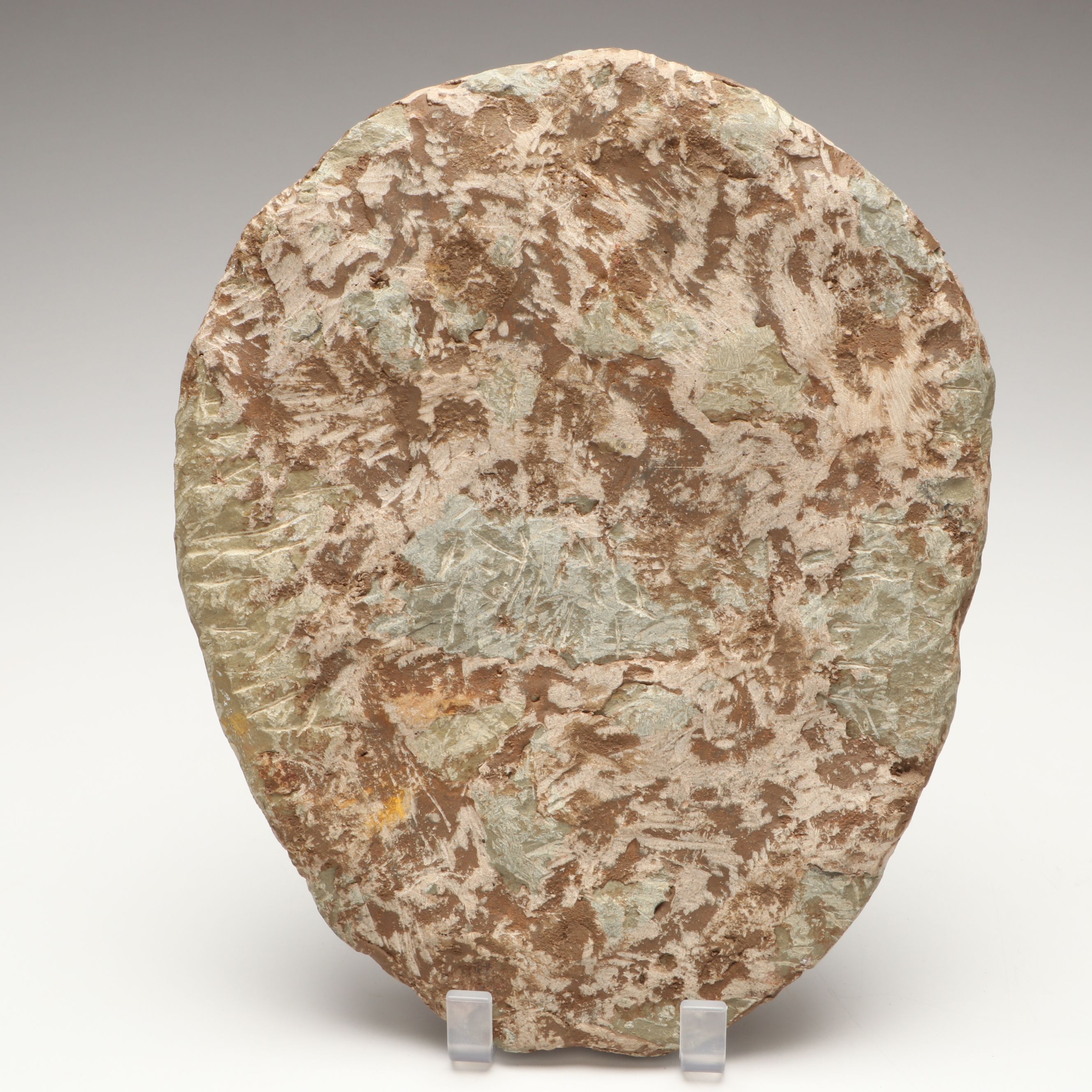 Moroccan Trilobite Replica in Composite