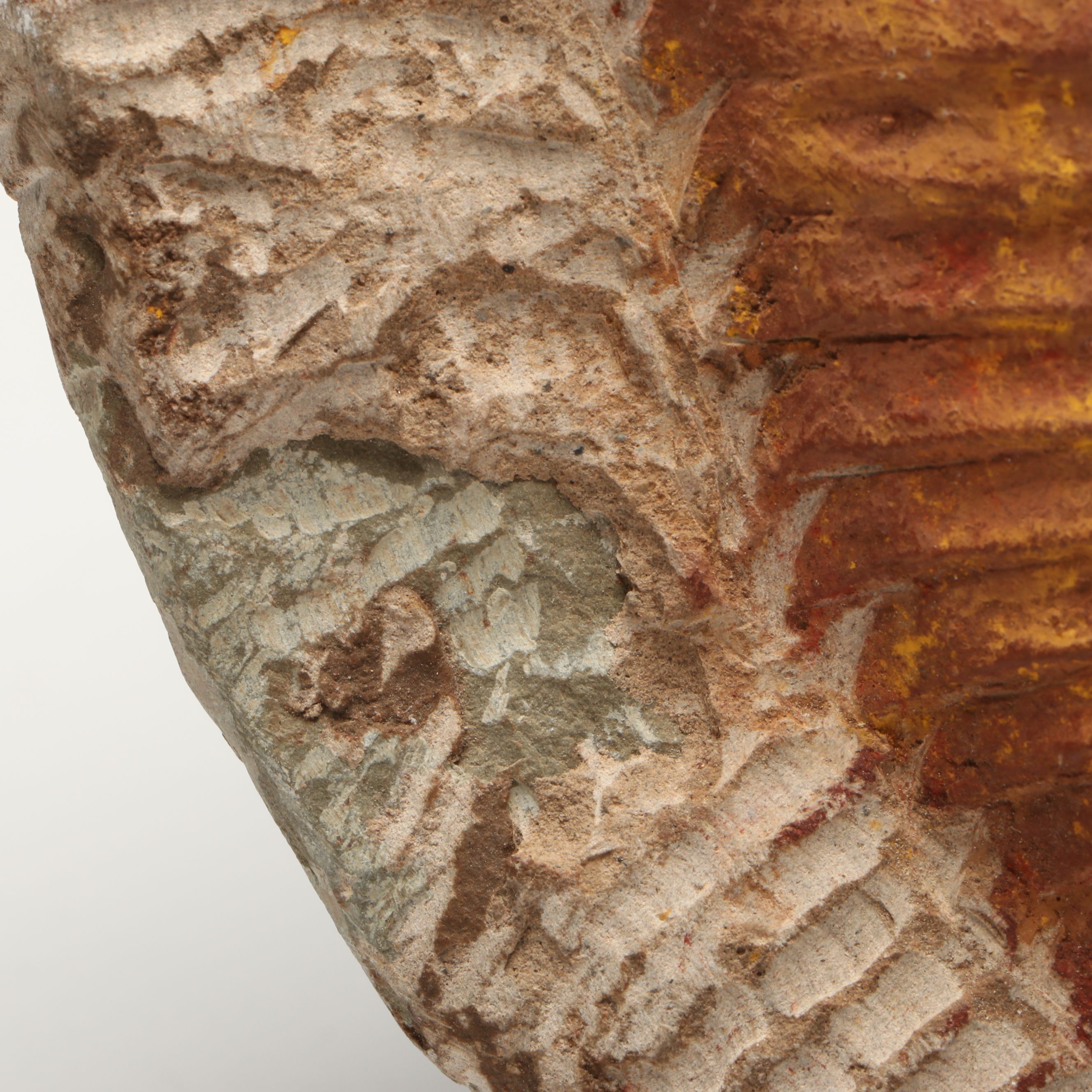 Moroccan Trilobite Replica in Composite