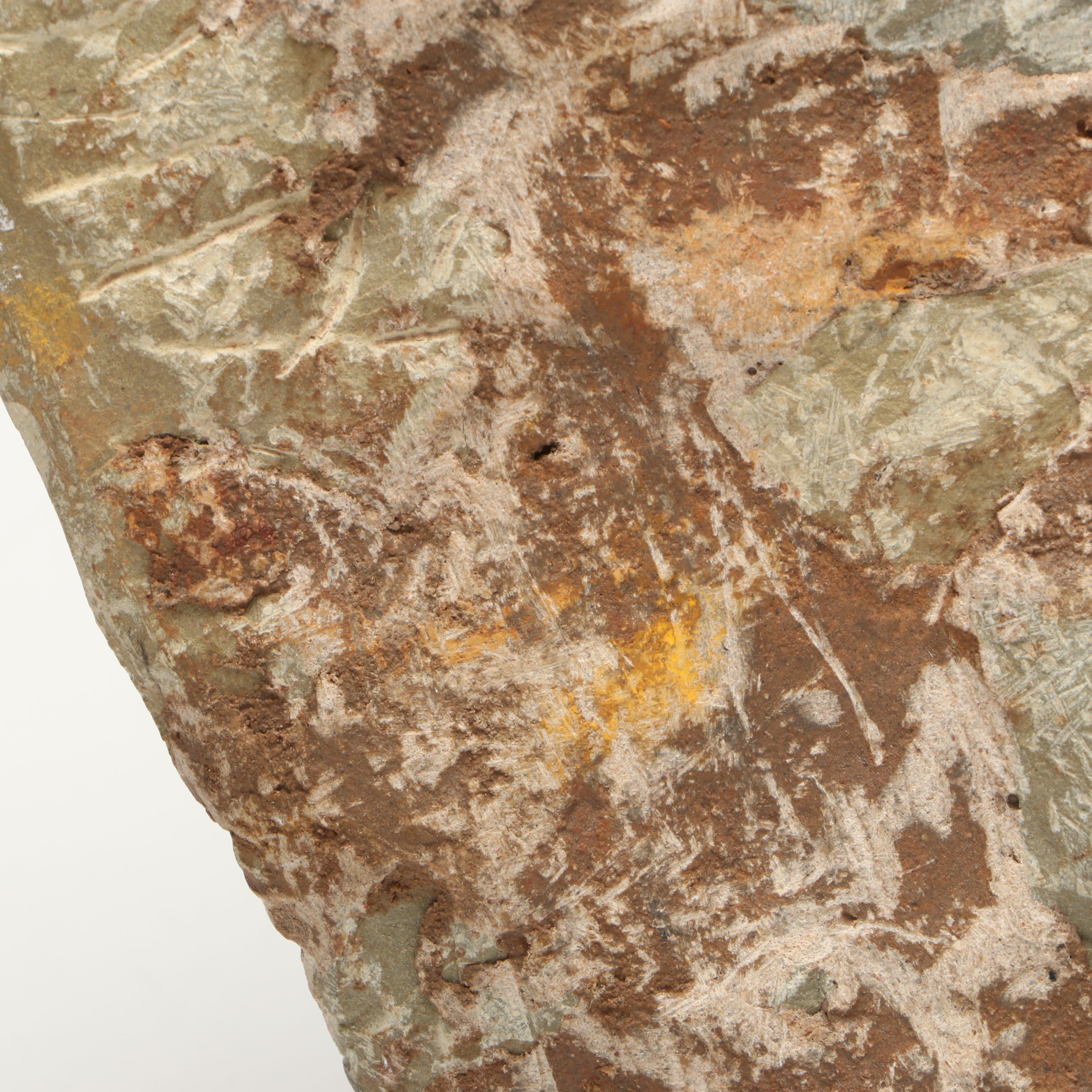 Moroccan Trilobite Replica in Composite