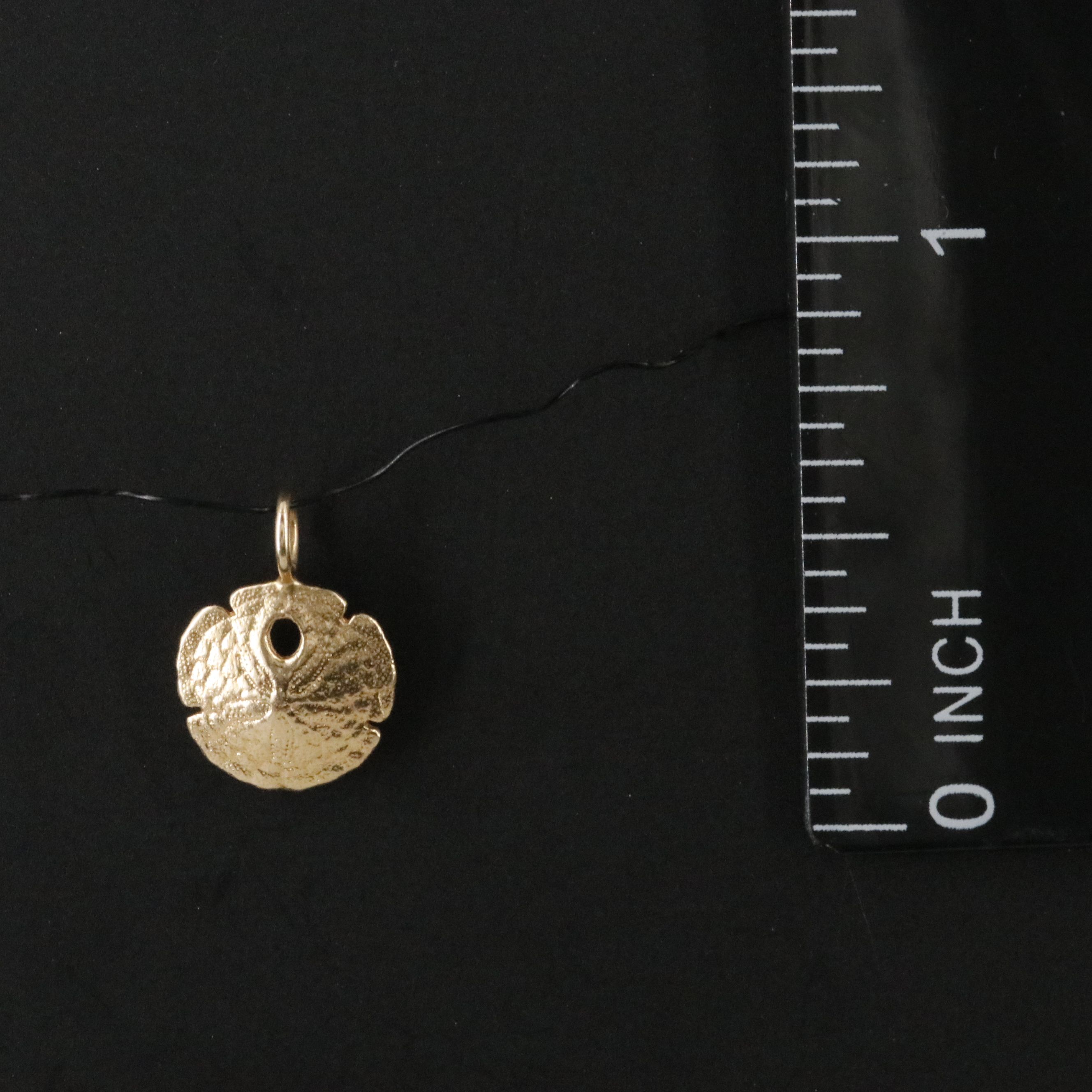 14K Sand Dollar Pendant