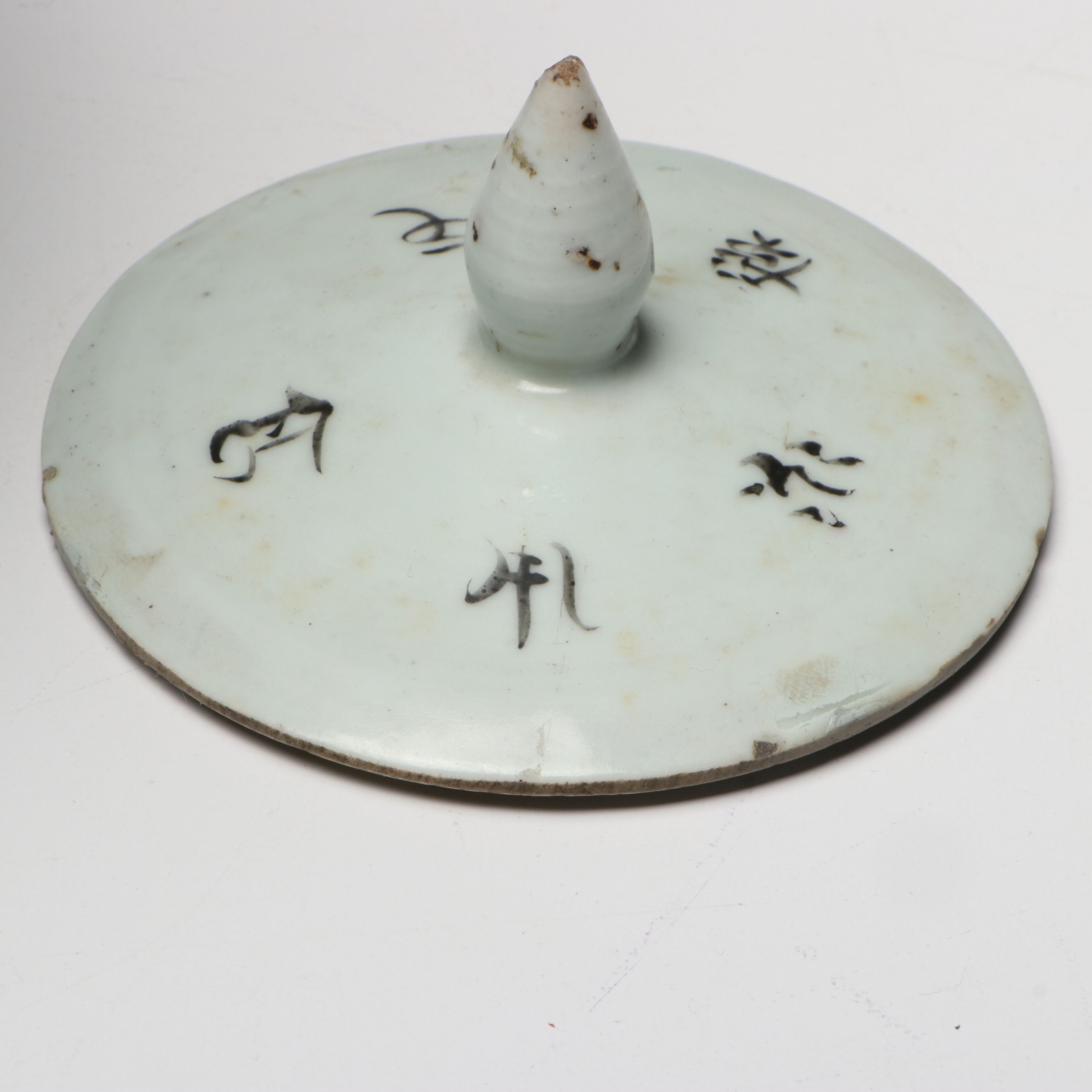 Chinese Qing Dynasty Porcelain Ginger Jar