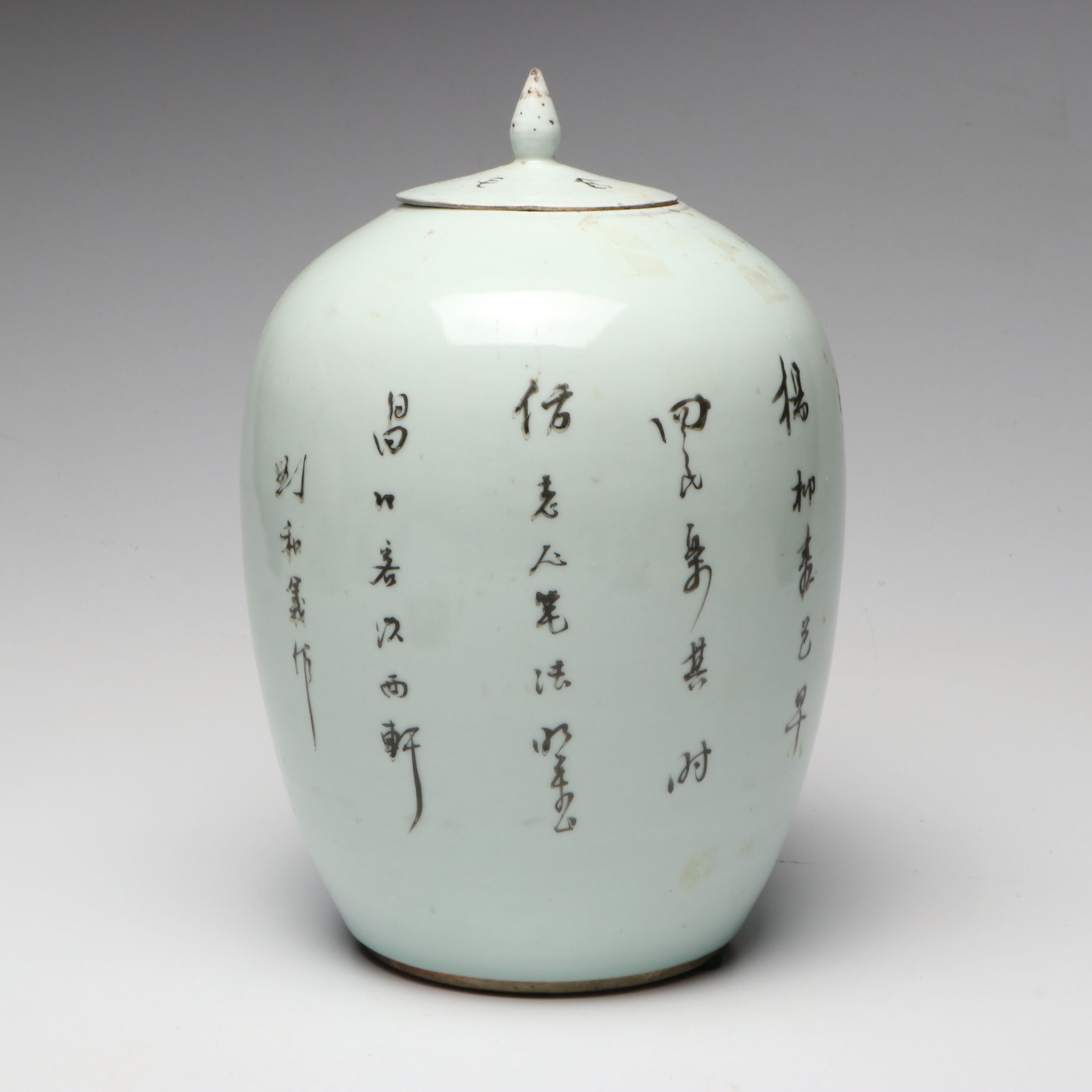 Chinese Qing Dynasty Porcelain Ginger Jar