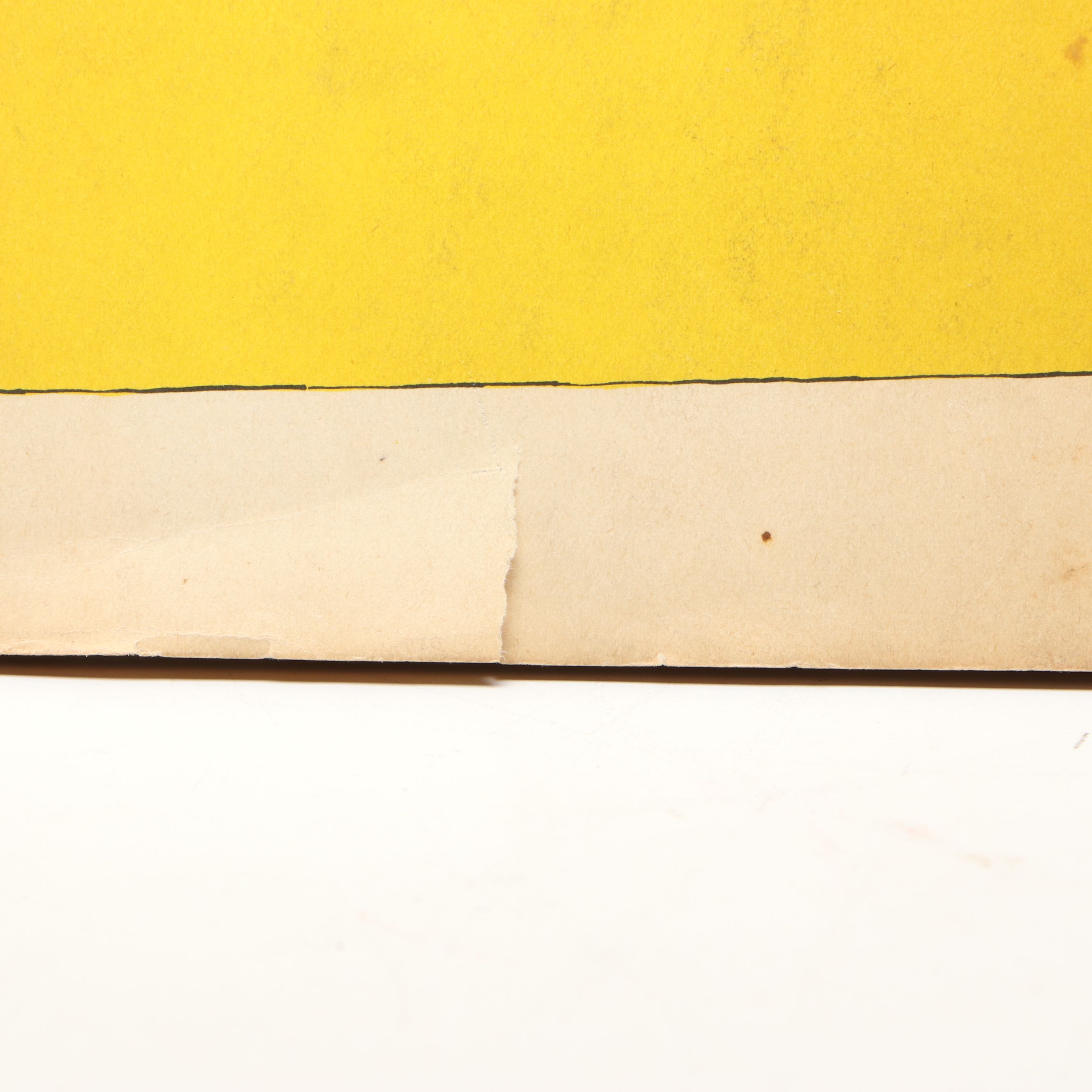 First Edition "The Doubtful Guest" with "The Willowdale Handcar" by Edward Gorey