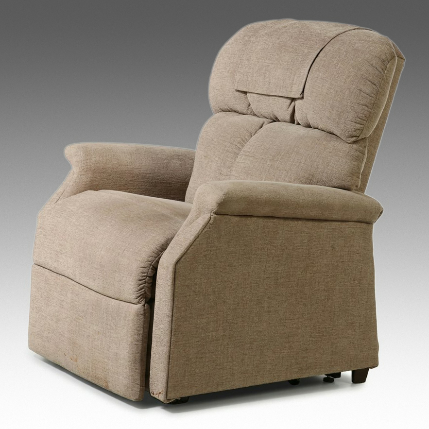Golden Technologies Power Lift Recliner