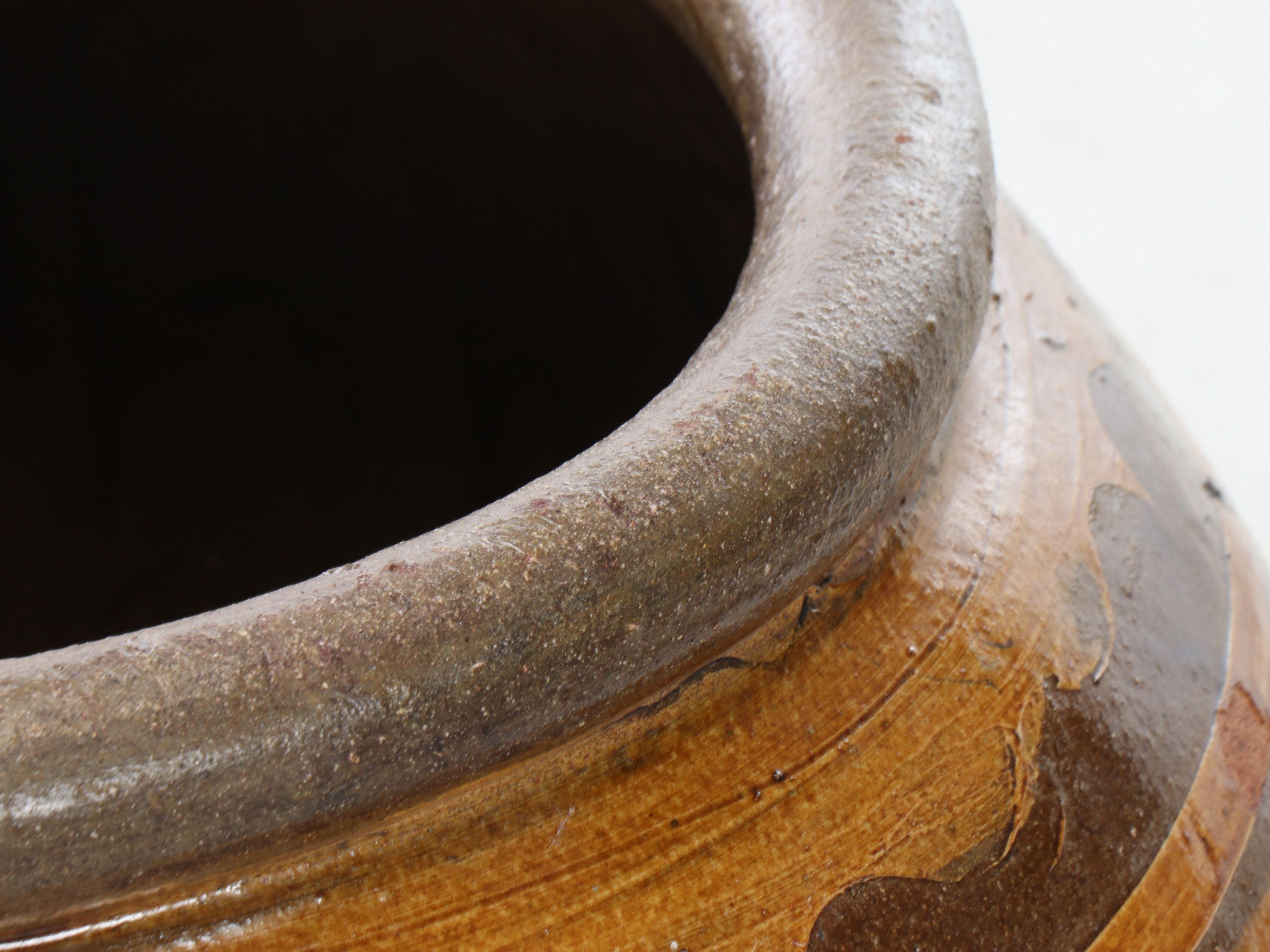 Thai Martaban Earthenware Dragon Water Pot