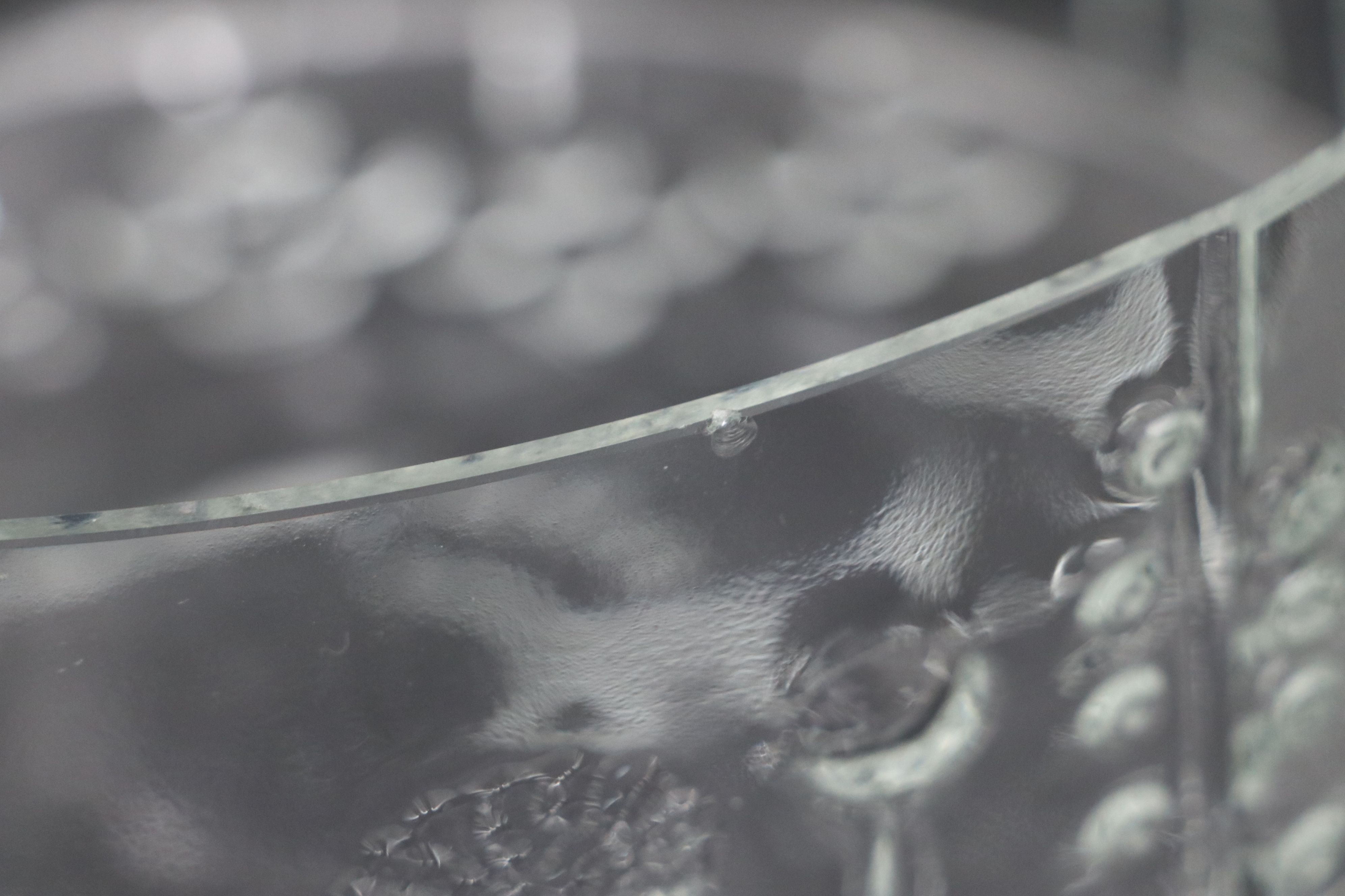 Iittala "Flora" Finnish Glass Bowls and Vases, 1966-1997