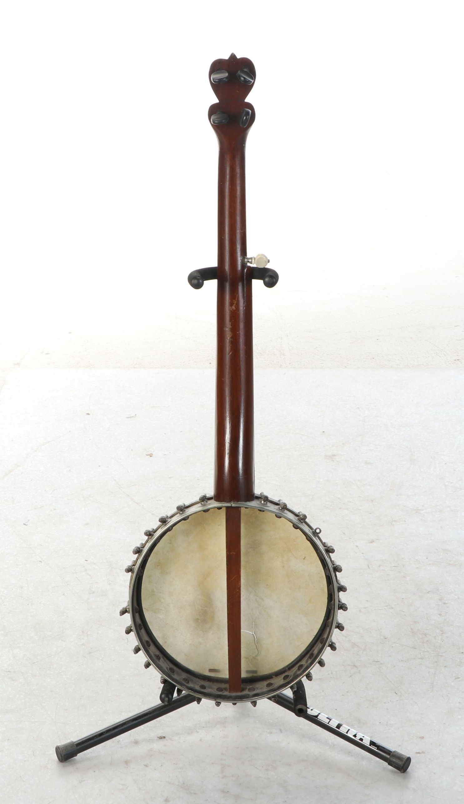 Five-String Banjo