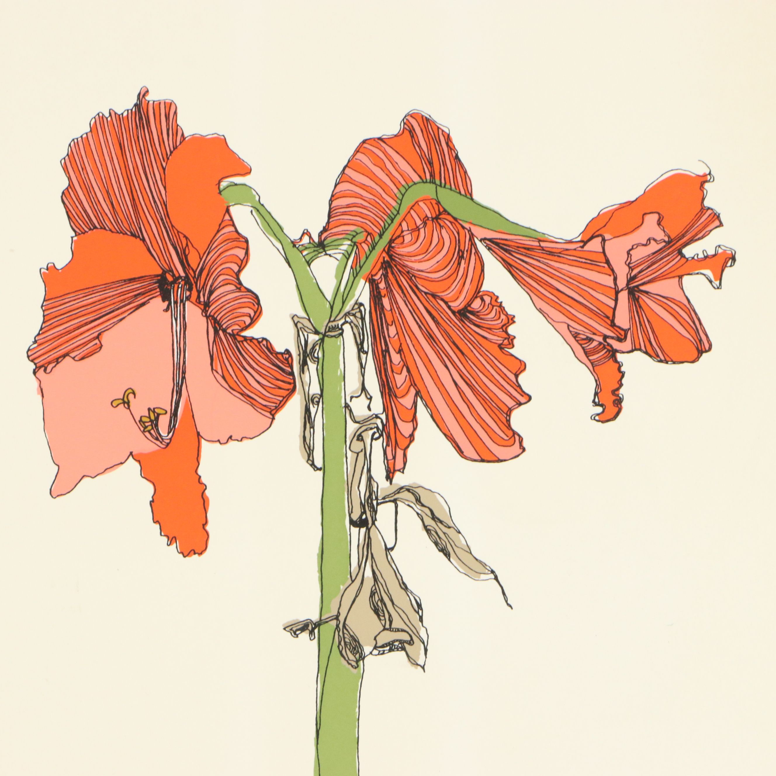 Brett Harper Amaryllis Still Life Serigraph "Fireworks From the Earth," Ca. 1979