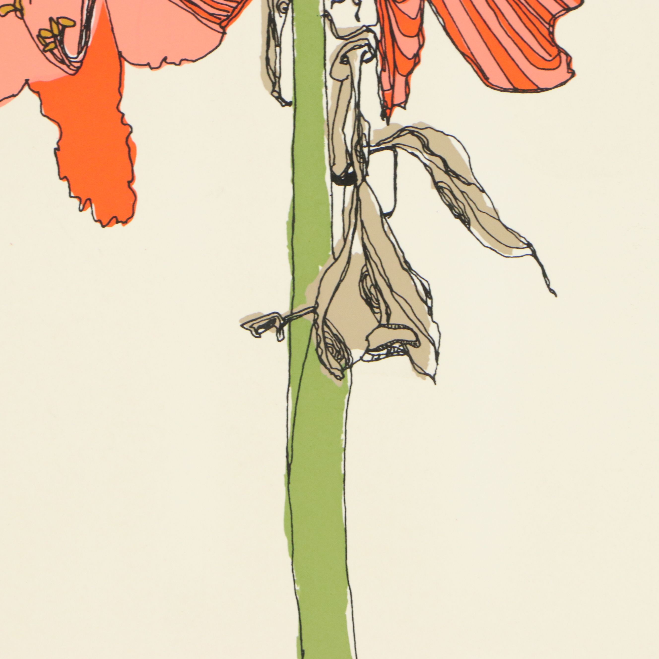 Brett Harper Amaryllis Still Life Serigraph "Fireworks From the Earth," Ca. 1979